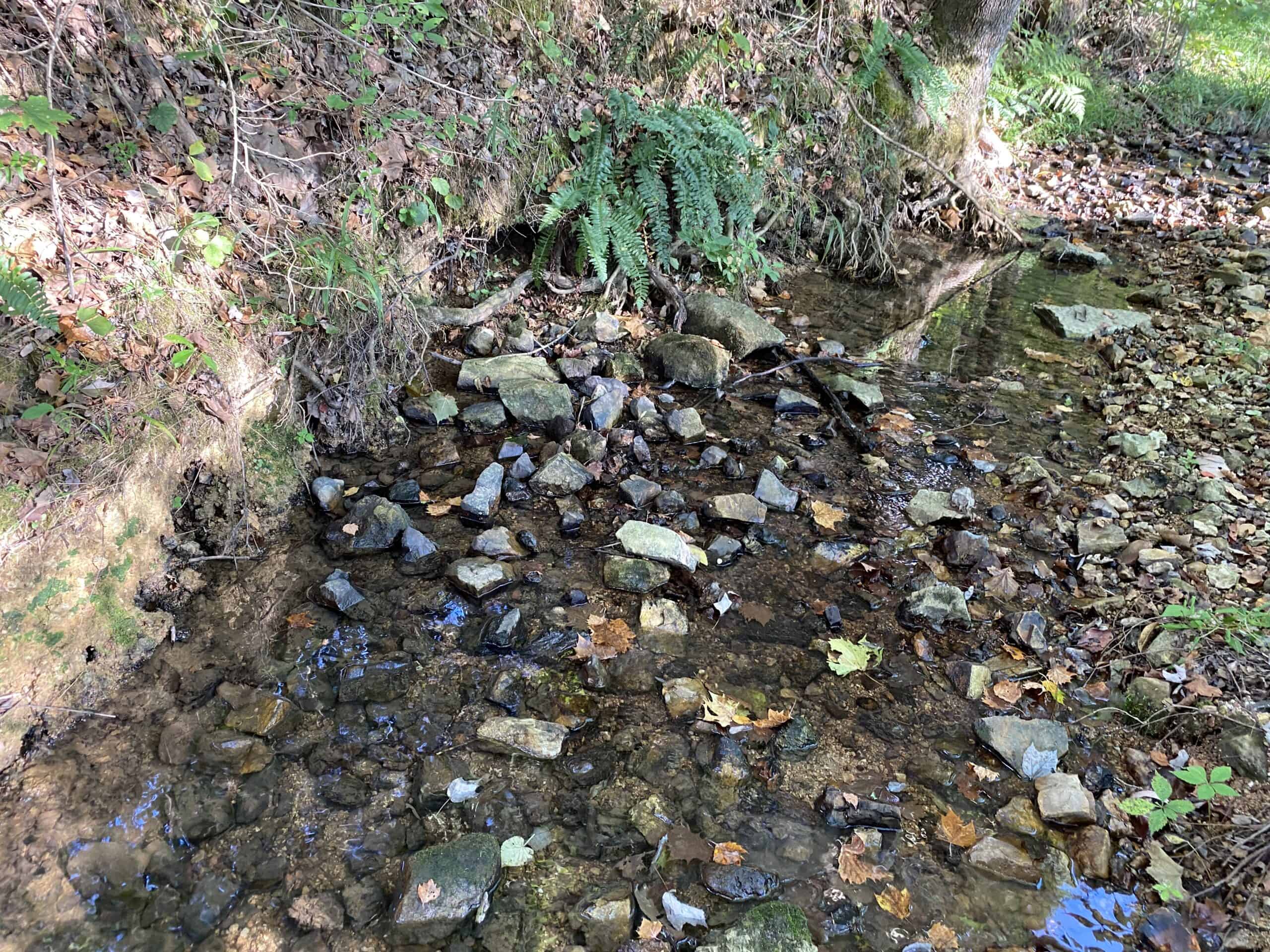 LAND FOR SALE IN TN, 21.5 ACRES+/-, OPEN & WOODED LAND, CREEK