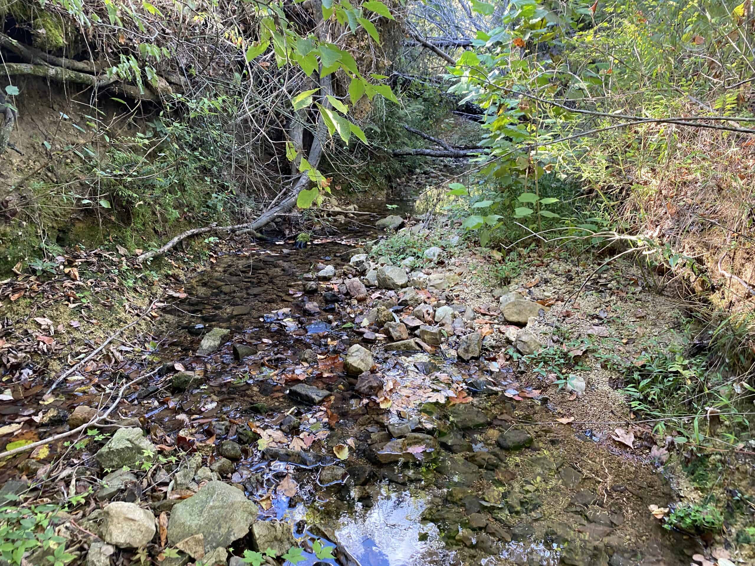 LAND FOR SALE IN TN, 32.5 ACRES+/-, OLD HOME, HUNTING, CREEK