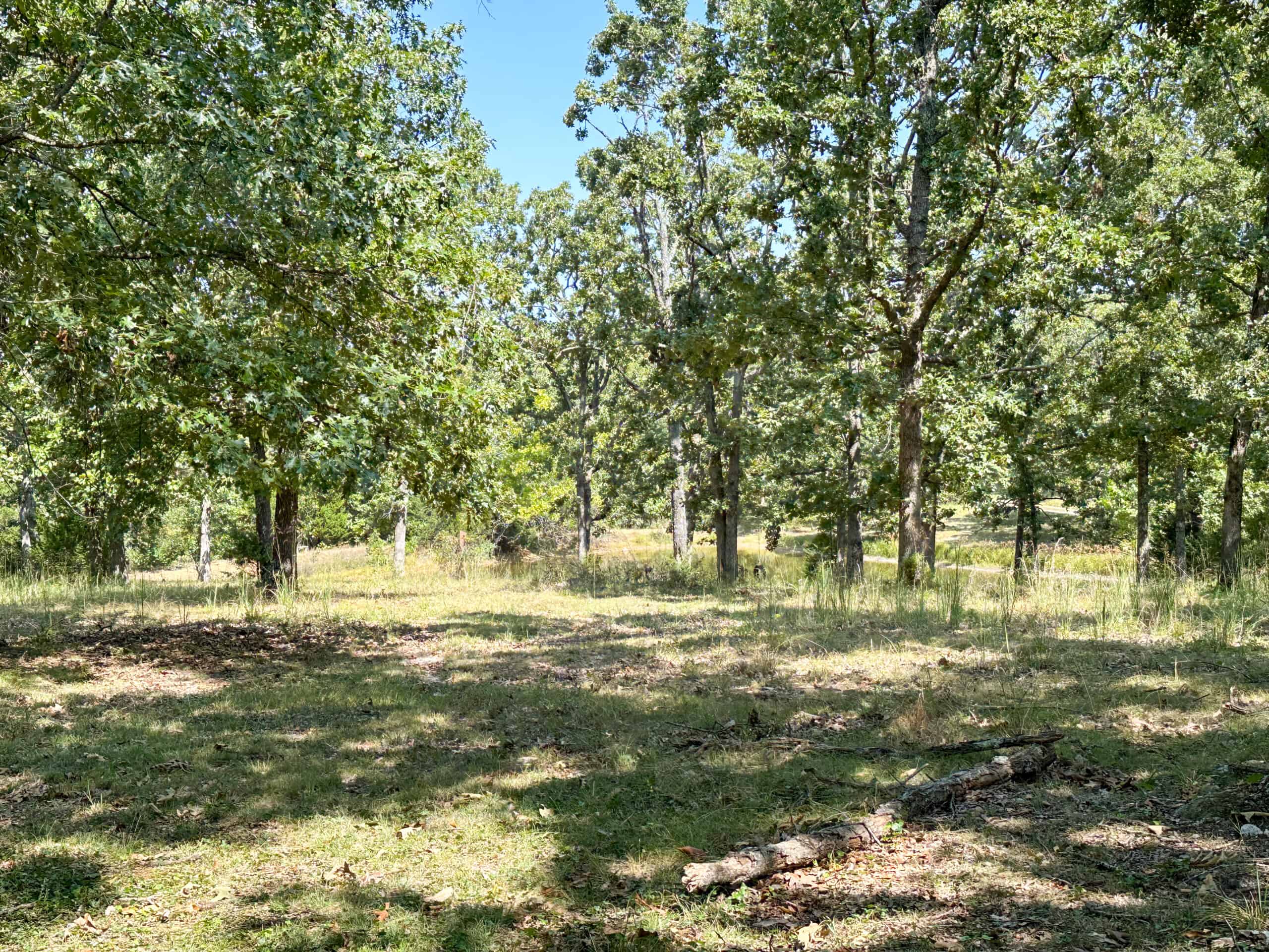 Country Home With Hunting and Recreational Acreage!