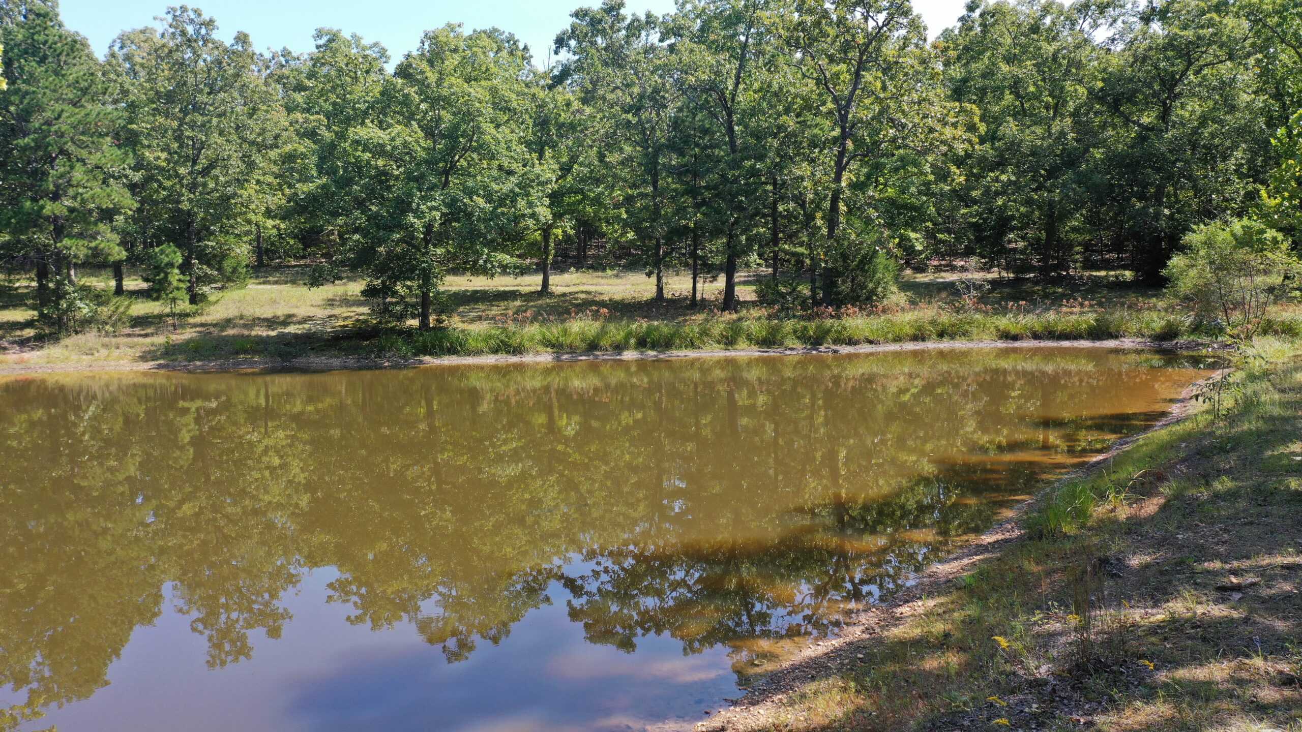 Country Home With Hunting and Recreational Acreage!
