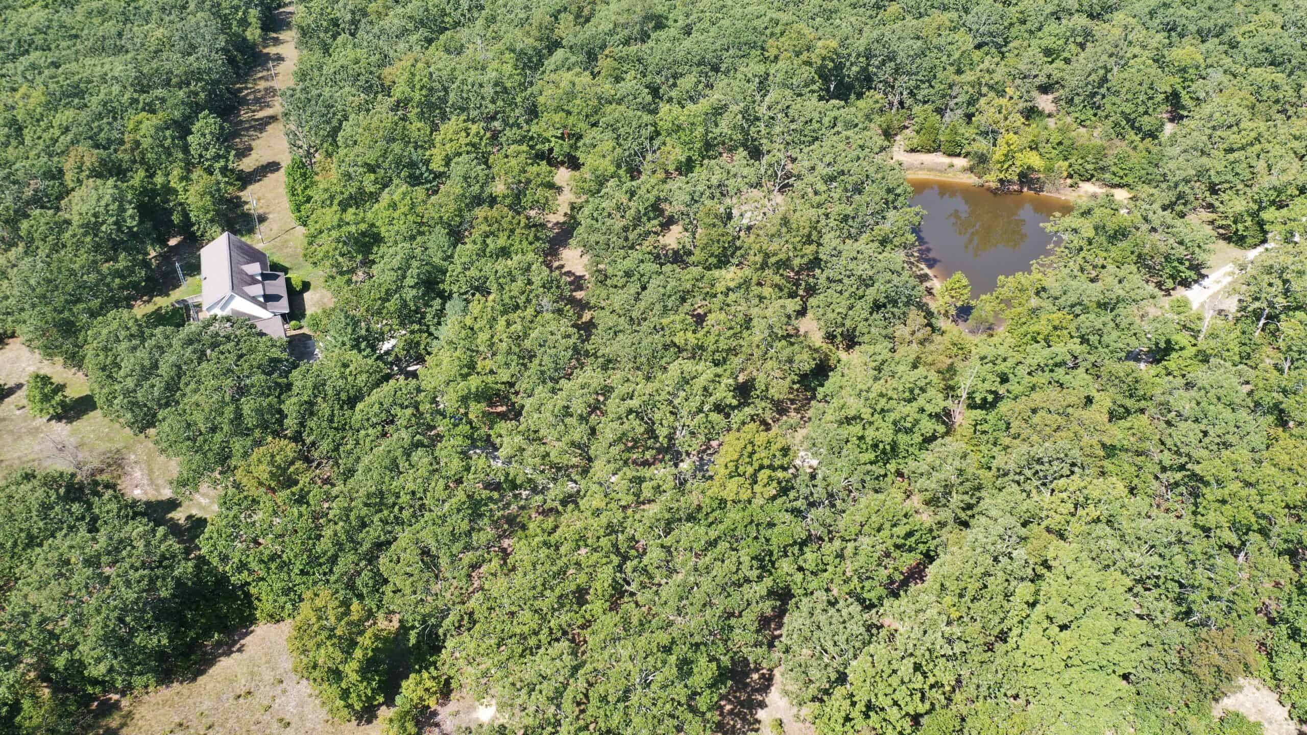 Country Home With Hunting and Recreational Acreage!