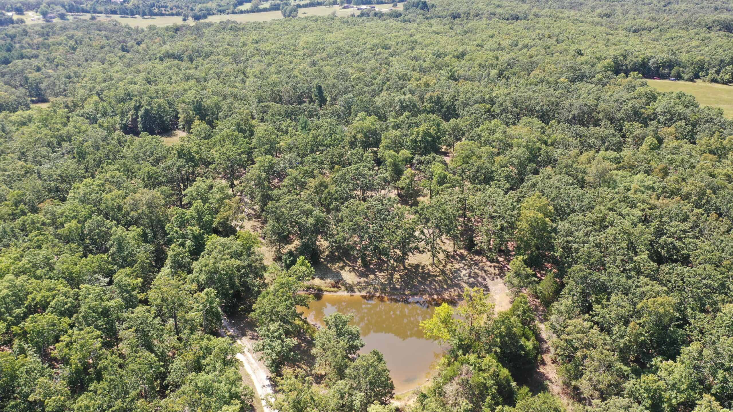 Country Home With Hunting and Recreational Acreage!