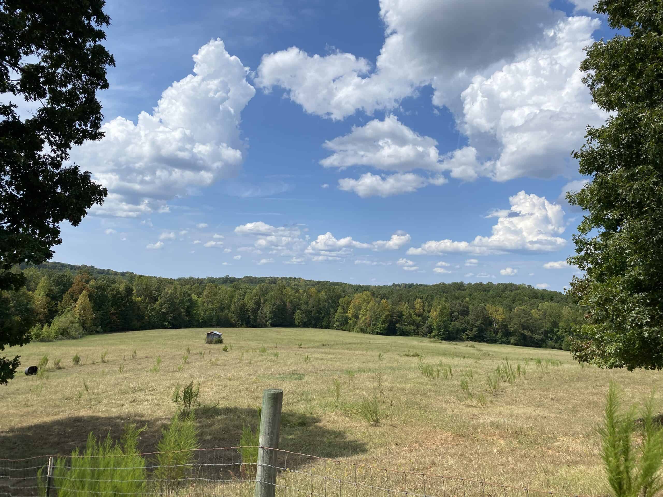 PRIVATE FARM FOR SALE IN TN NEAR TENNESSEE RIVER WITH POND, CREEK, FENCING, PASTURES, AND SHOP. GREAT DEER HUNTING.