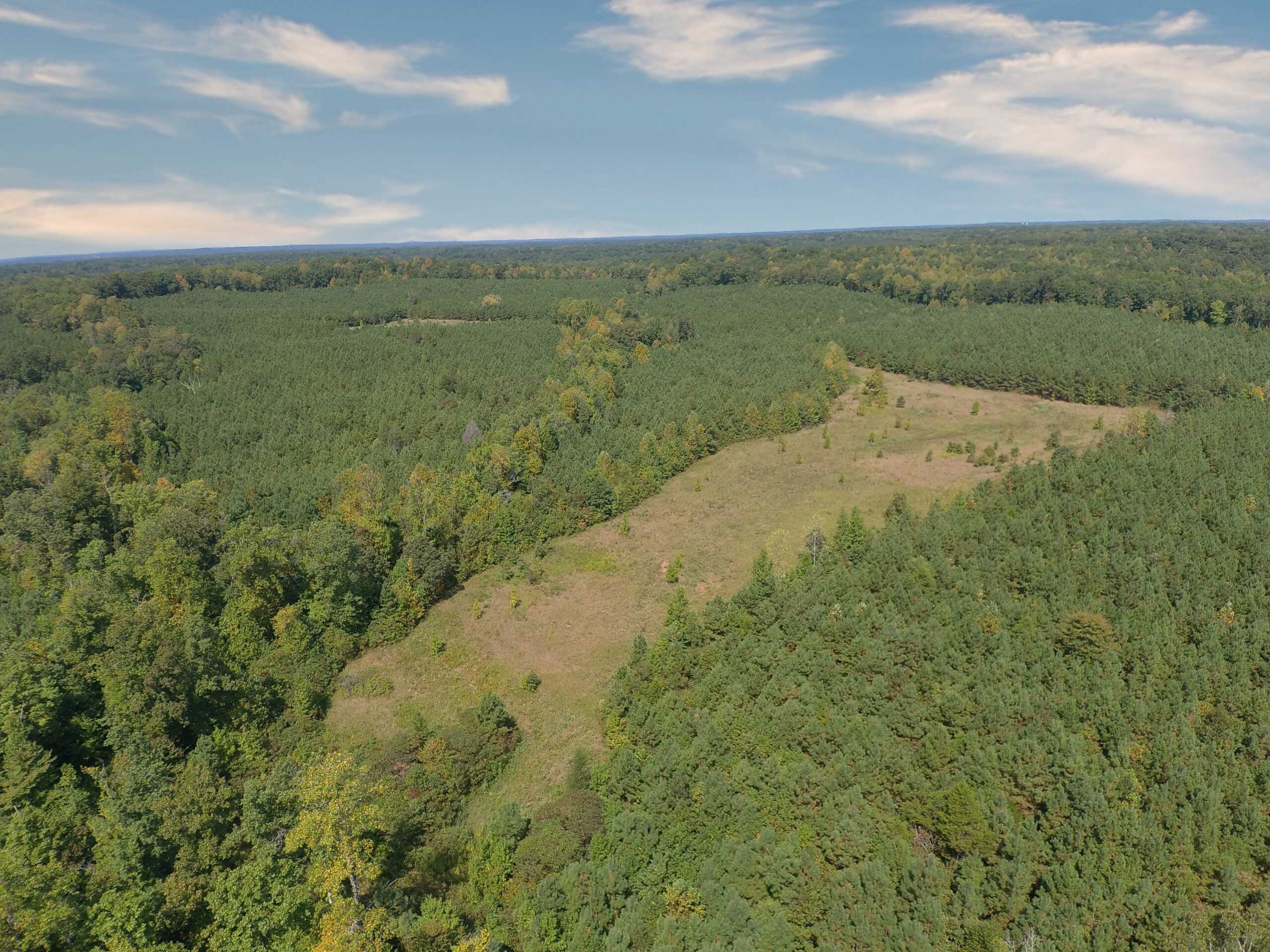 PRIVATE FARM FOR SALE IN TN NEAR TENNESSEE RIVER WITH POND, CREEK, FENCING, PASTURES, AND SHOP. GREAT DEER HUNTING.