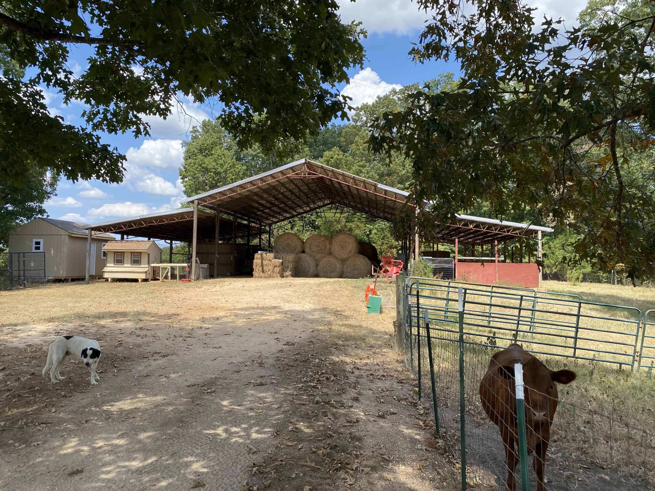 PRIVATE FARM FOR SALE IN TN NEAR TENNESSEE RIVER WITH POND, CREEK, FENCING, PASTURES, AND SHOP. GREAT DEER HUNTING.