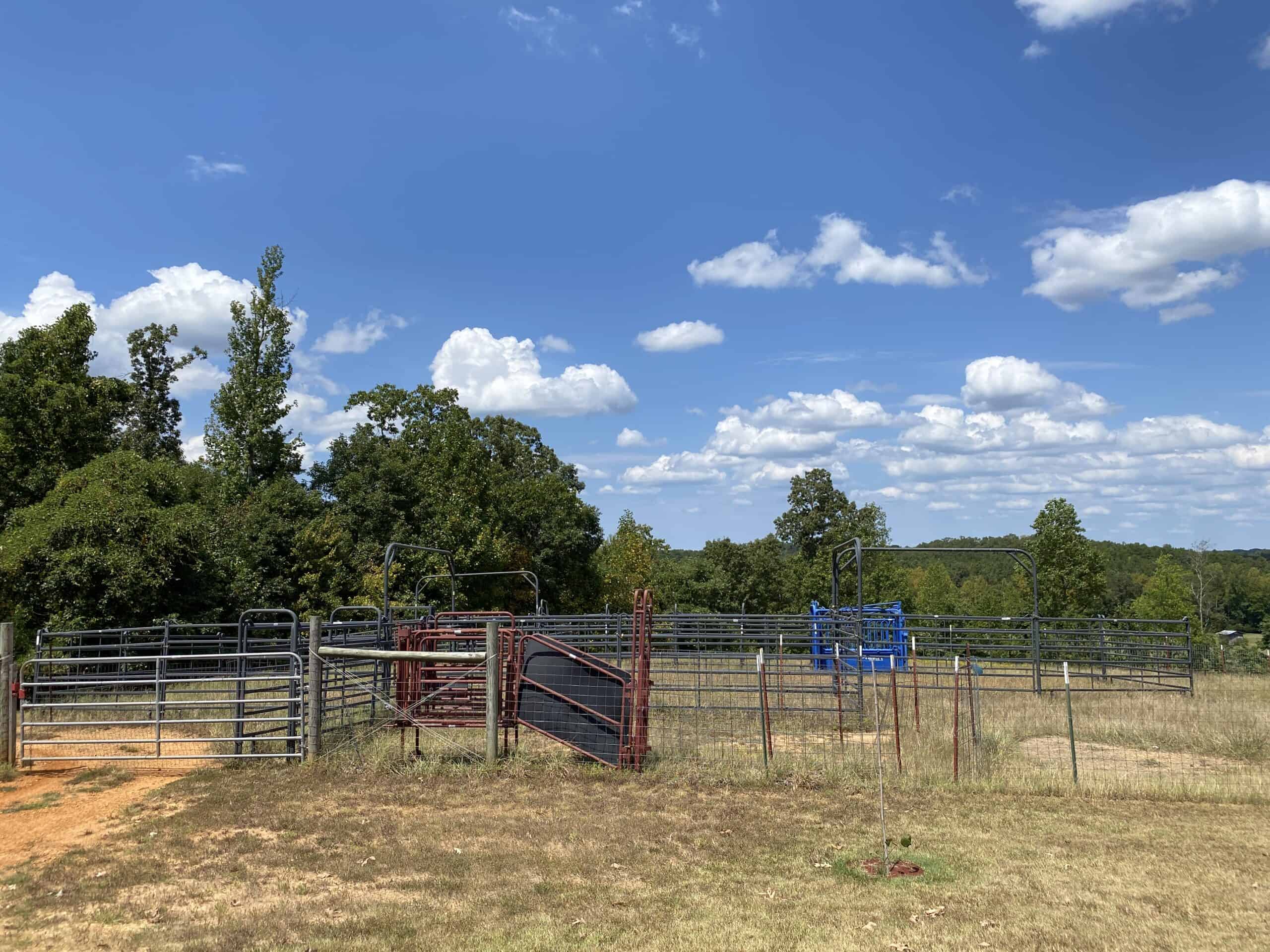 PRIVATE FARM FOR SALE IN TN NEAR TENNESSEE RIVER WITH POND, CREEK, FENCING, PASTURES, AND SHOP. GREAT DEER HUNTING.
