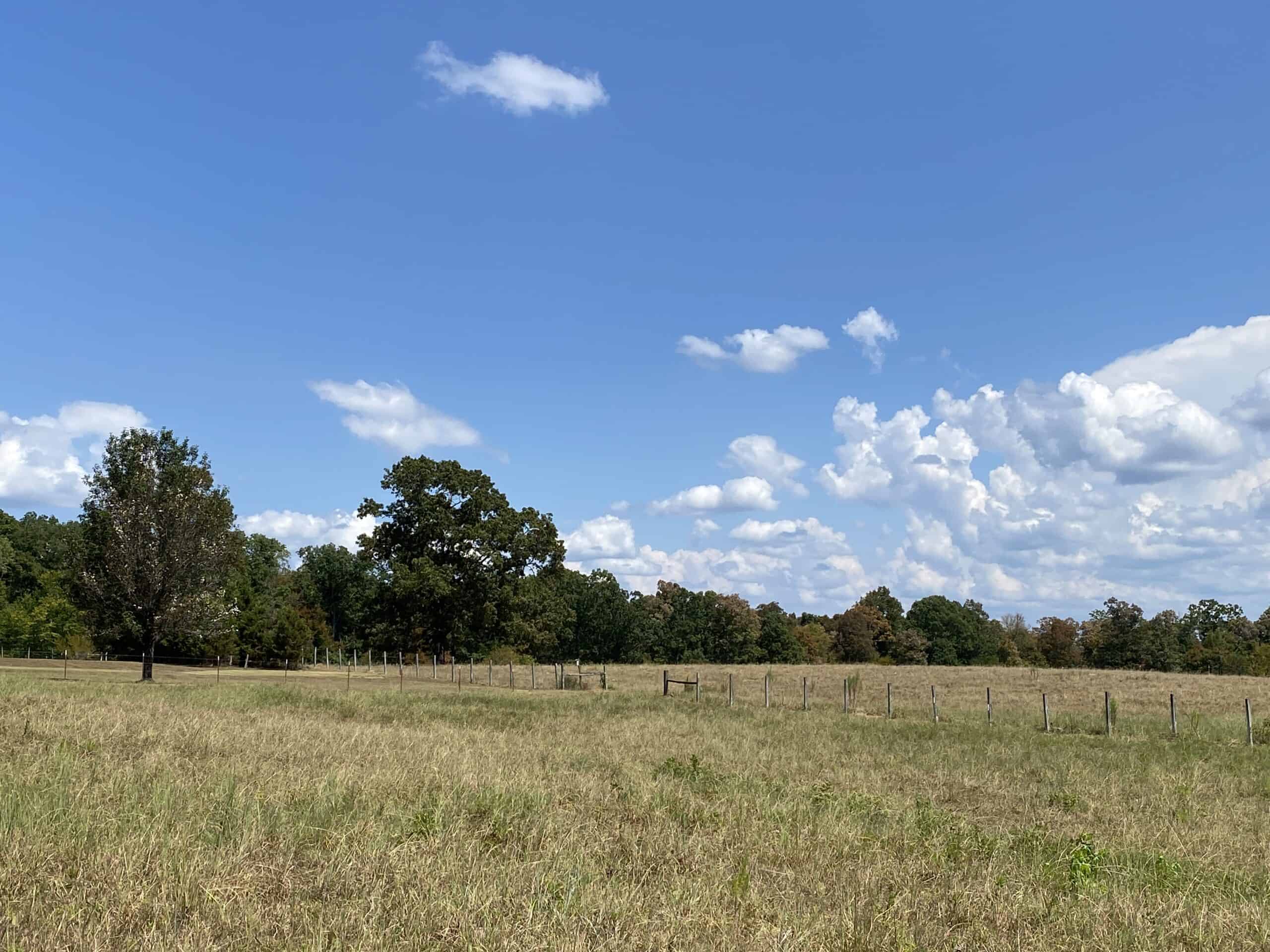 PRIVATE FARM FOR SALE IN TN NEAR TENNESSEE RIVER WITH POND, CREEK, FENCING, PASTURES, AND SHOP. GREAT DEER HUNTING.