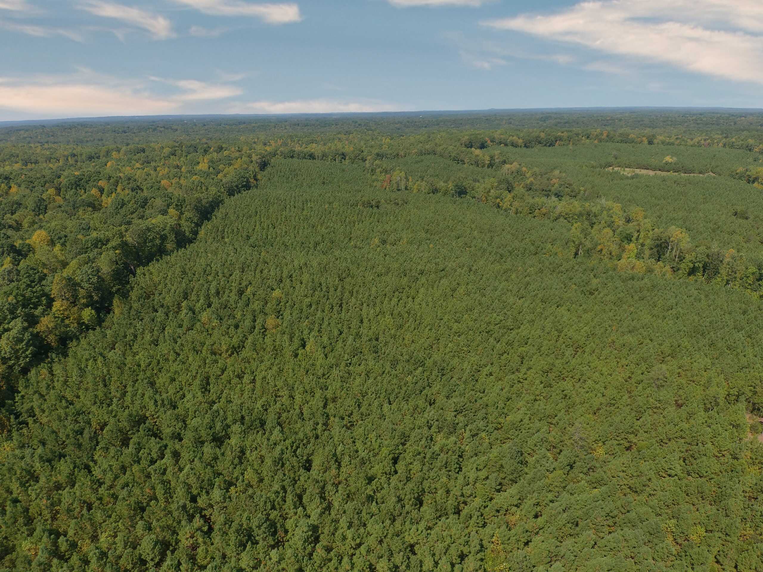 PRIVATE FARM FOR SALE IN TN NEAR TENNESSEE RIVER WITH POND, CREEK, FENCING, PASTURES, AND SHOP. GREAT DEER HUNTING.