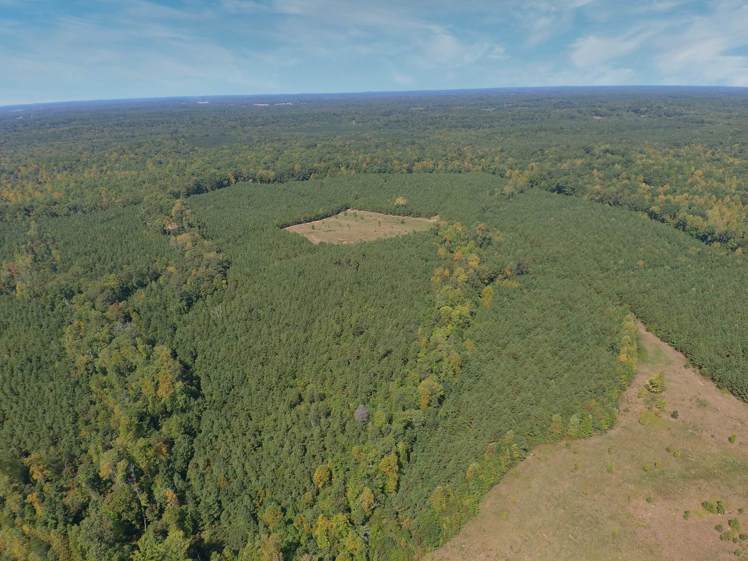 PRIVATE FARM FOR SALE IN TN NEAR TENNESSEE RIVER WITH POND, CREEK, FENCING, PASTURES, AND SHOP. GREAT DEER HUNTING.