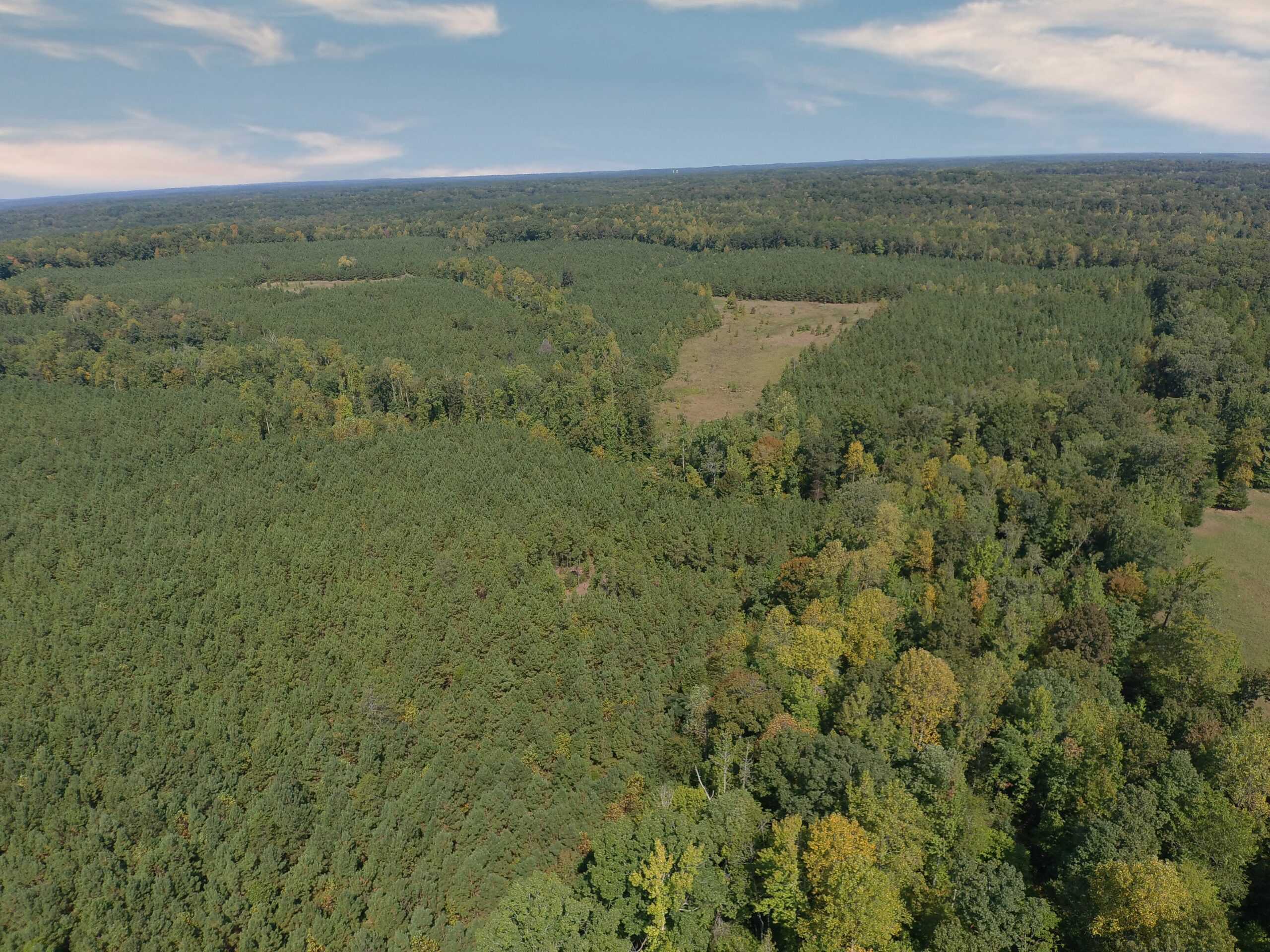 PRIVATE FARM FOR SALE IN TN NEAR TENNESSEE RIVER WITH POND, CREEK, FENCING, PASTURES, AND SHOP. GREAT DEER HUNTING.