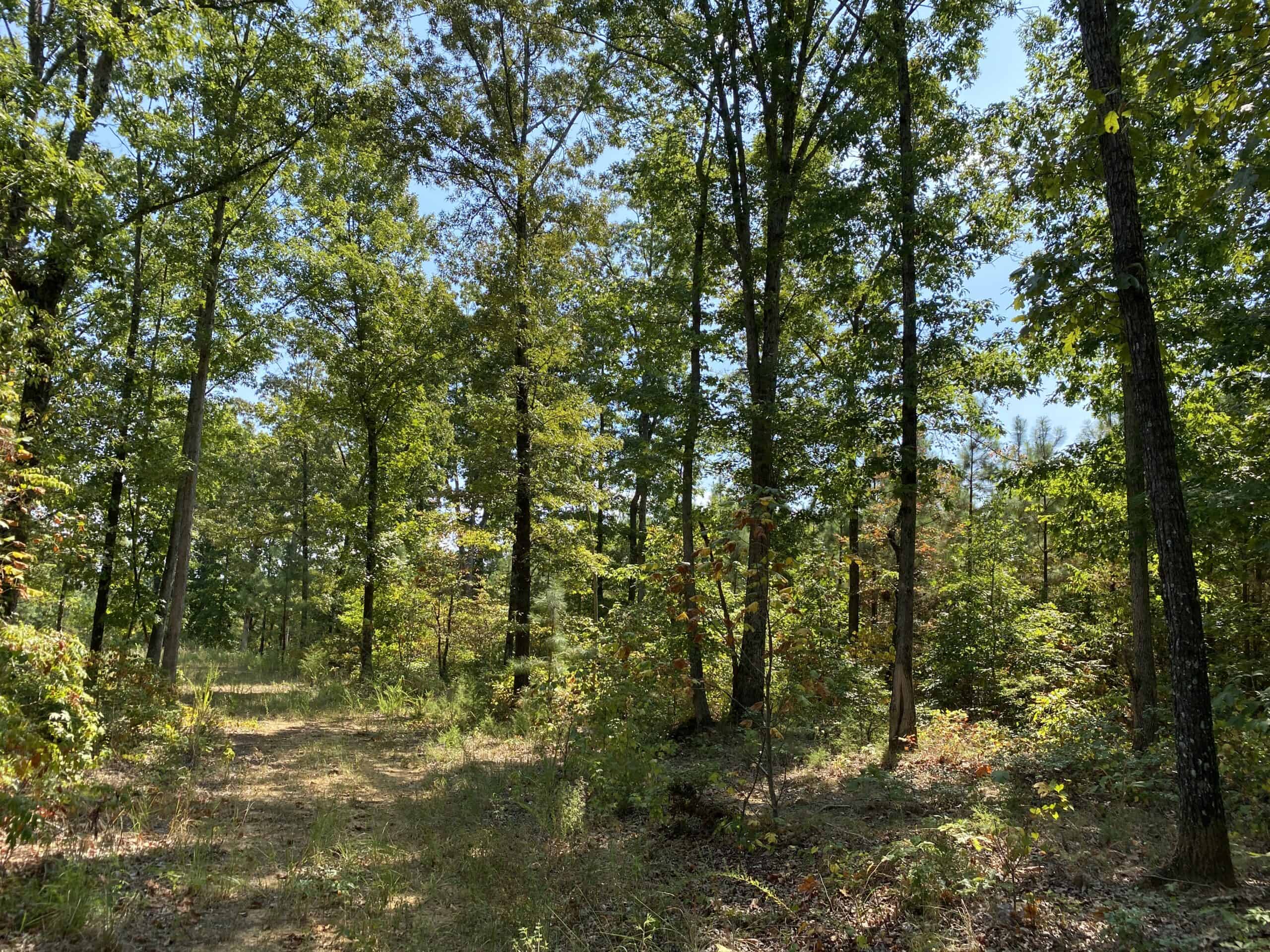 PRIVATE FARM FOR SALE IN TN NEAR TENNESSEE RIVER WITH POND, CREEK, FENCING, PASTURES, AND SHOP. GREAT DEER HUNTING.