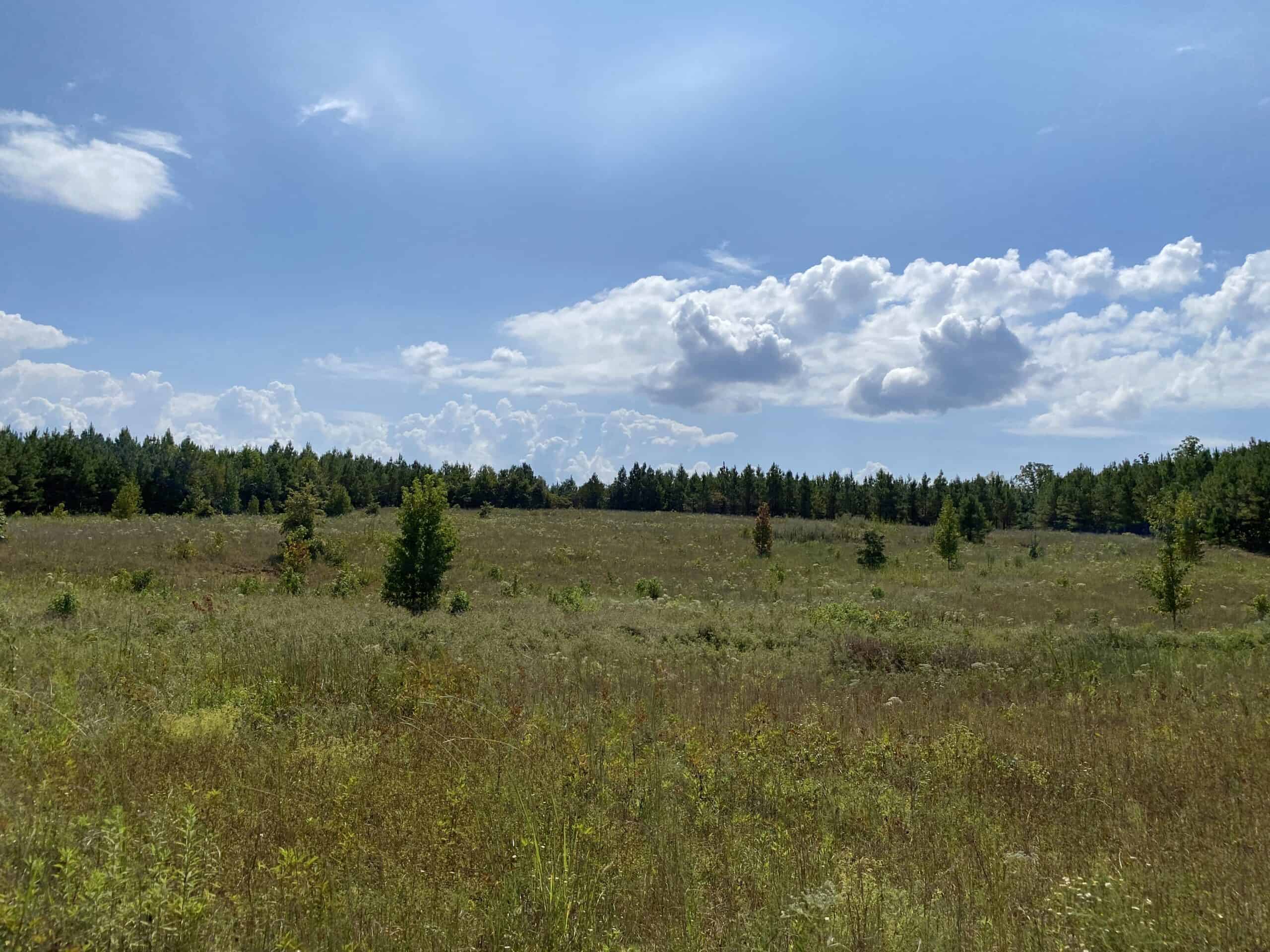 PRIVATE FARM FOR SALE IN TN NEAR TENNESSEE RIVER WITH POND, CREEK, FENCING, PASTURES, AND SHOP. GREAT DEER HUNTING.