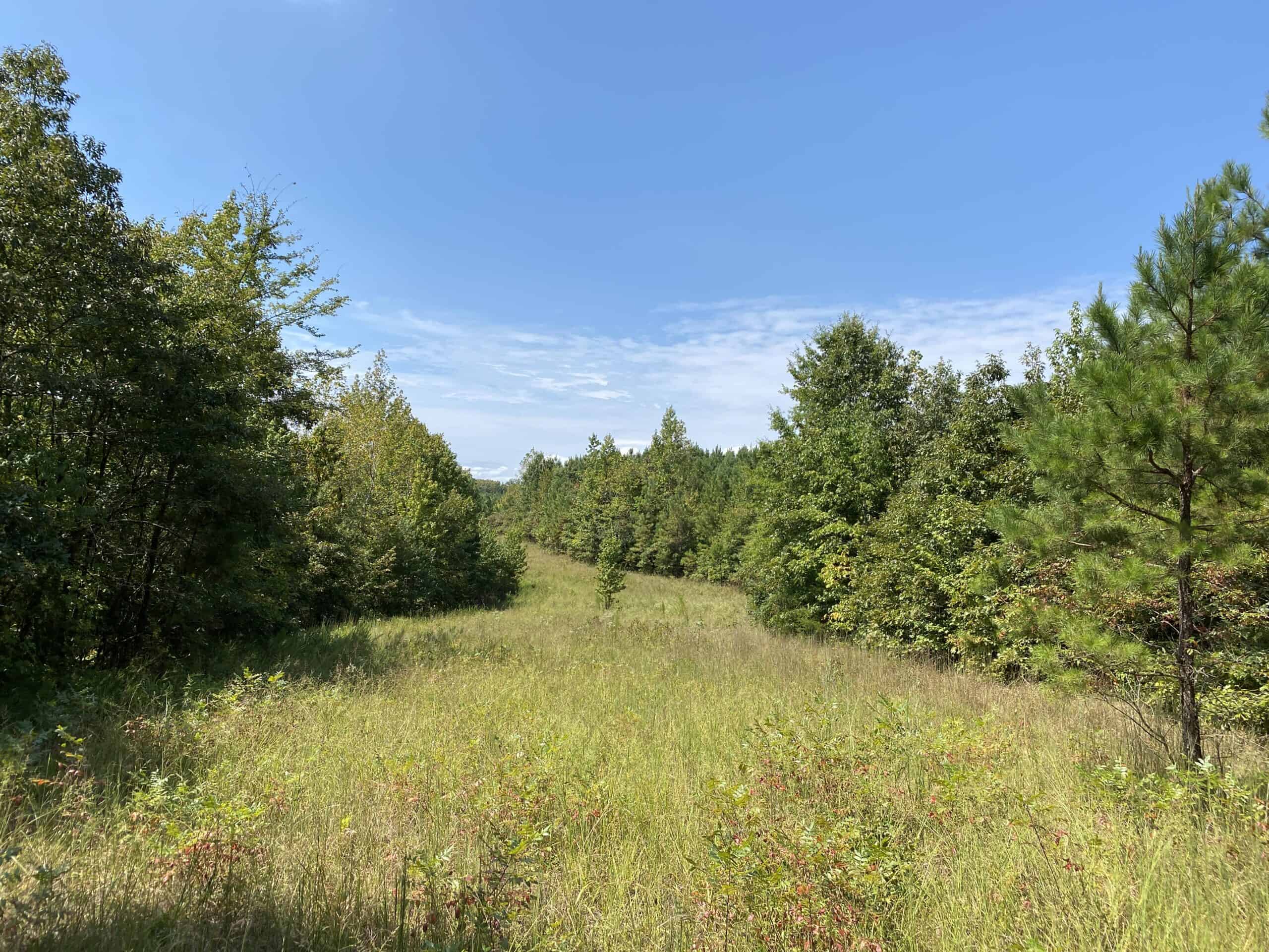 PRIVATE FARM FOR SALE IN TN NEAR TENNESSEE RIVER WITH POND, CREEK, FENCING, PASTURES, AND SHOP. GREAT DEER HUNTING.
