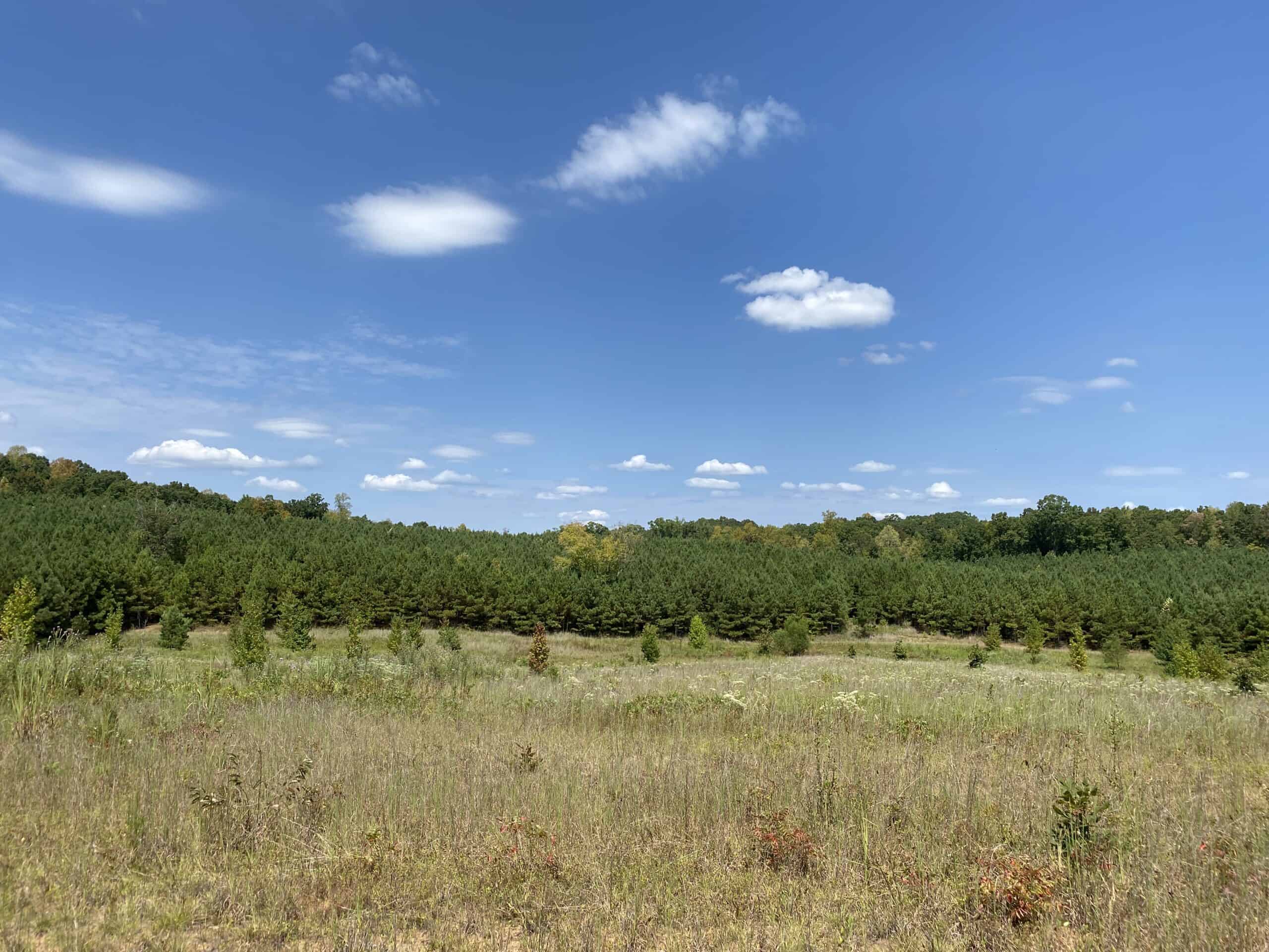 PRIVATE FARM FOR SALE IN TN NEAR TENNESSEE RIVER WITH POND, CREEK, FENCING, PASTURES, AND SHOP. GREAT DEER HUNTING.