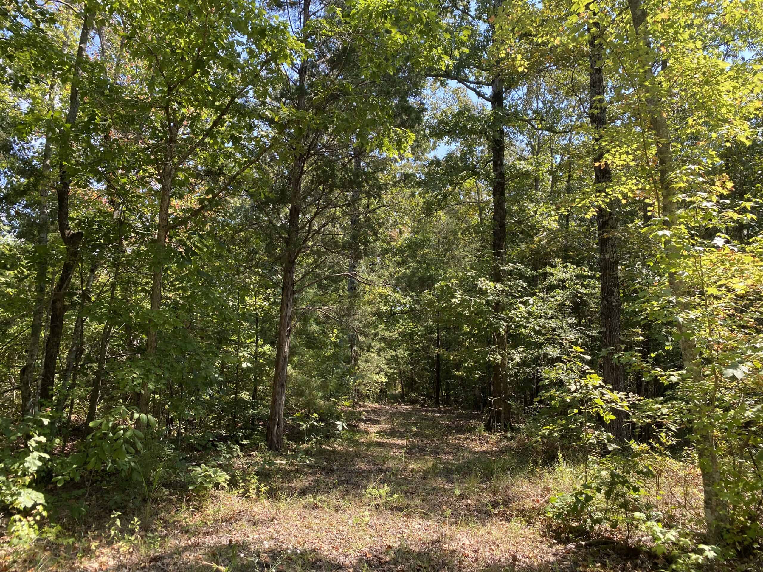 PRIVATE FARM FOR SALE IN TN NEAR TENNESSEE RIVER WITH POND, CREEK, FENCING, PASTURES, AND SHOP. GREAT DEER HUNTING.