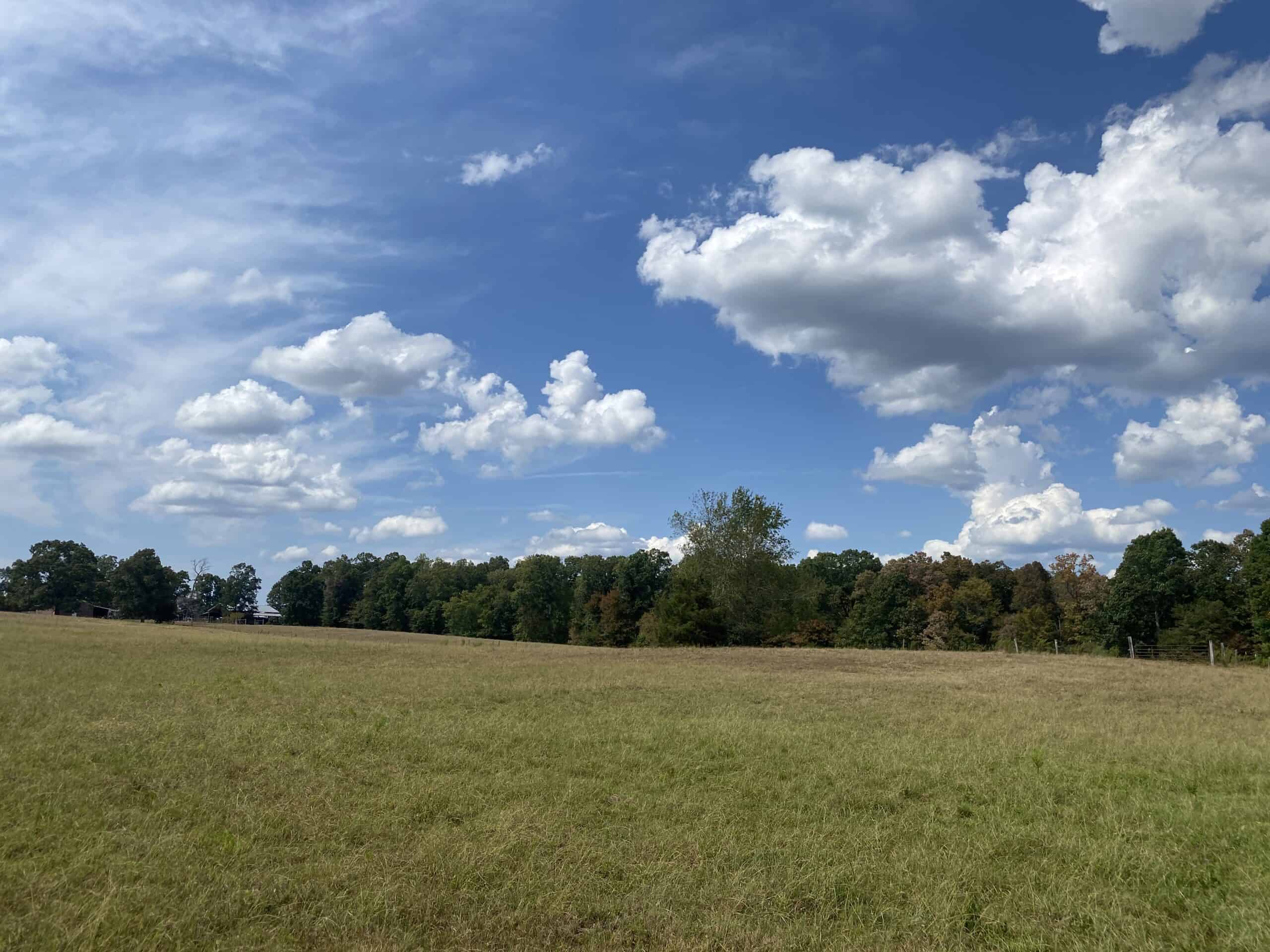 PRIVATE FARM FOR SALE IN TN NEAR TENNESSEE RIVER WITH POND, CREEK, FENCING, PASTURES, AND SHOP. GREAT DEER HUNTING.