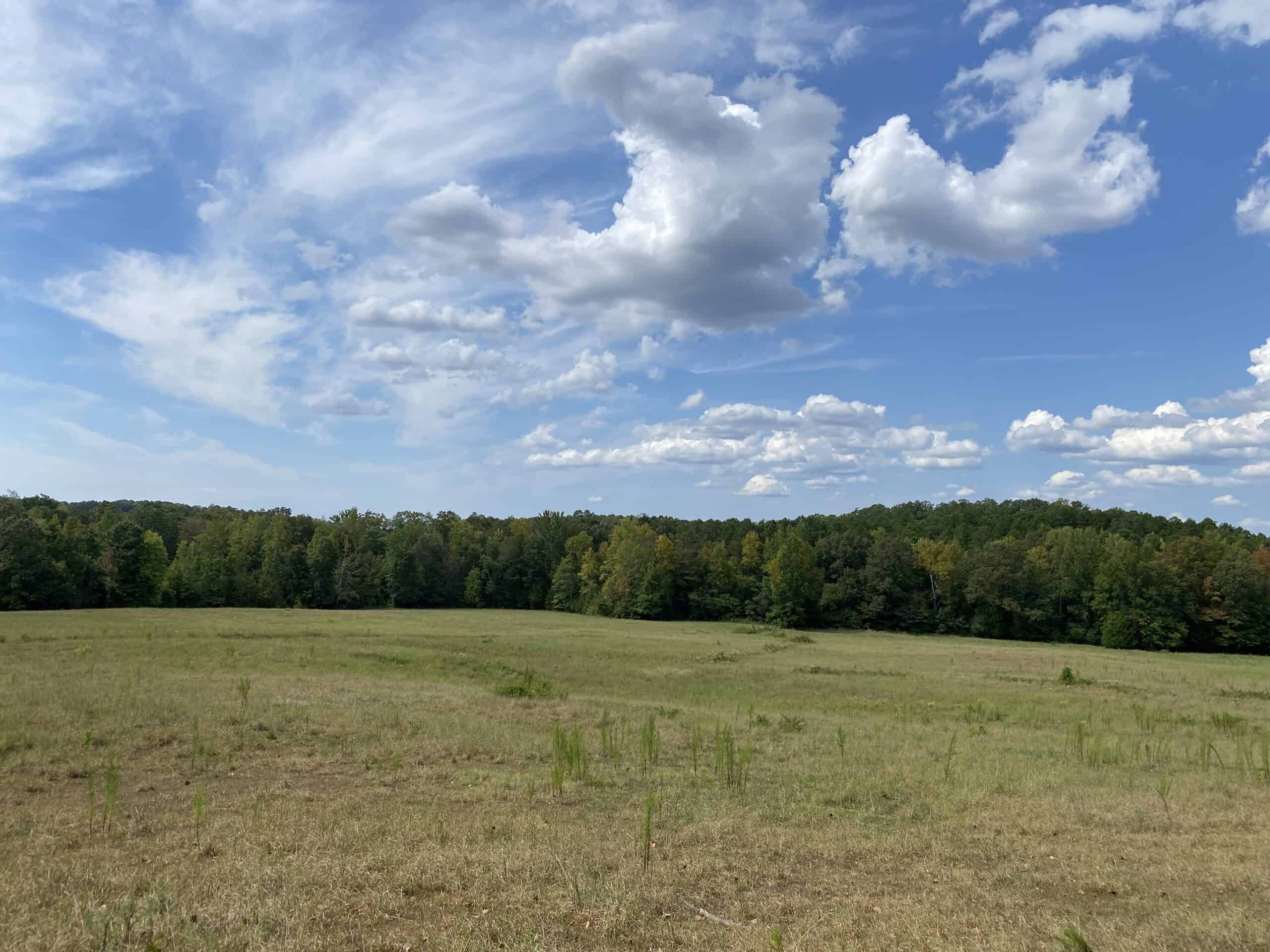 PRIVATE FARM FOR SALE IN TN NEAR TENNESSEE RIVER WITH POND, CREEK, FENCING, PASTURES, AND SHOP. GREAT DEER HUNTING.