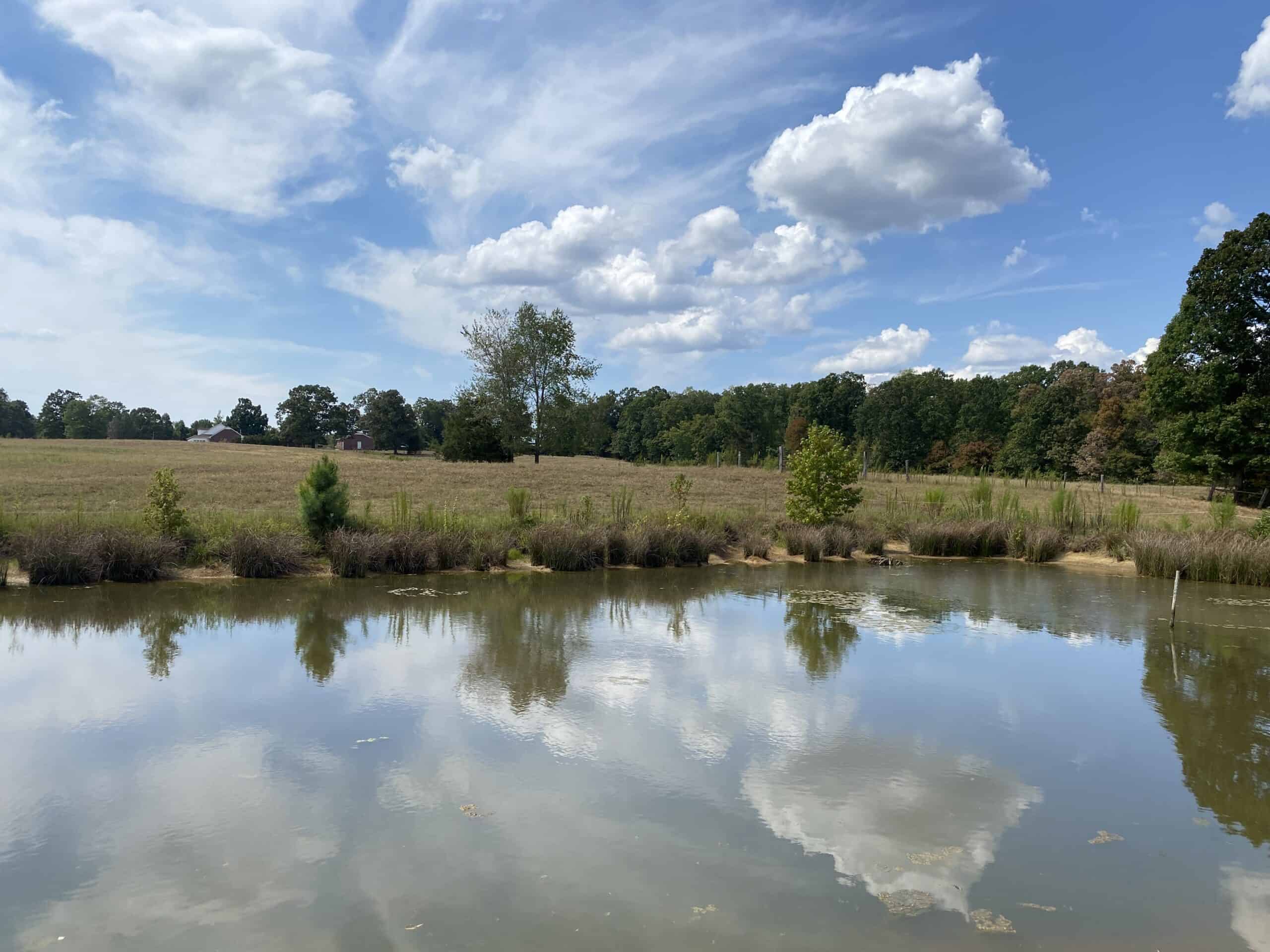 PRIVATE FARM FOR SALE IN TN NEAR TENNESSEE RIVER WITH POND, CREEK, FENCING, PASTURES, AND SHOP. GREAT DEER HUNTING.