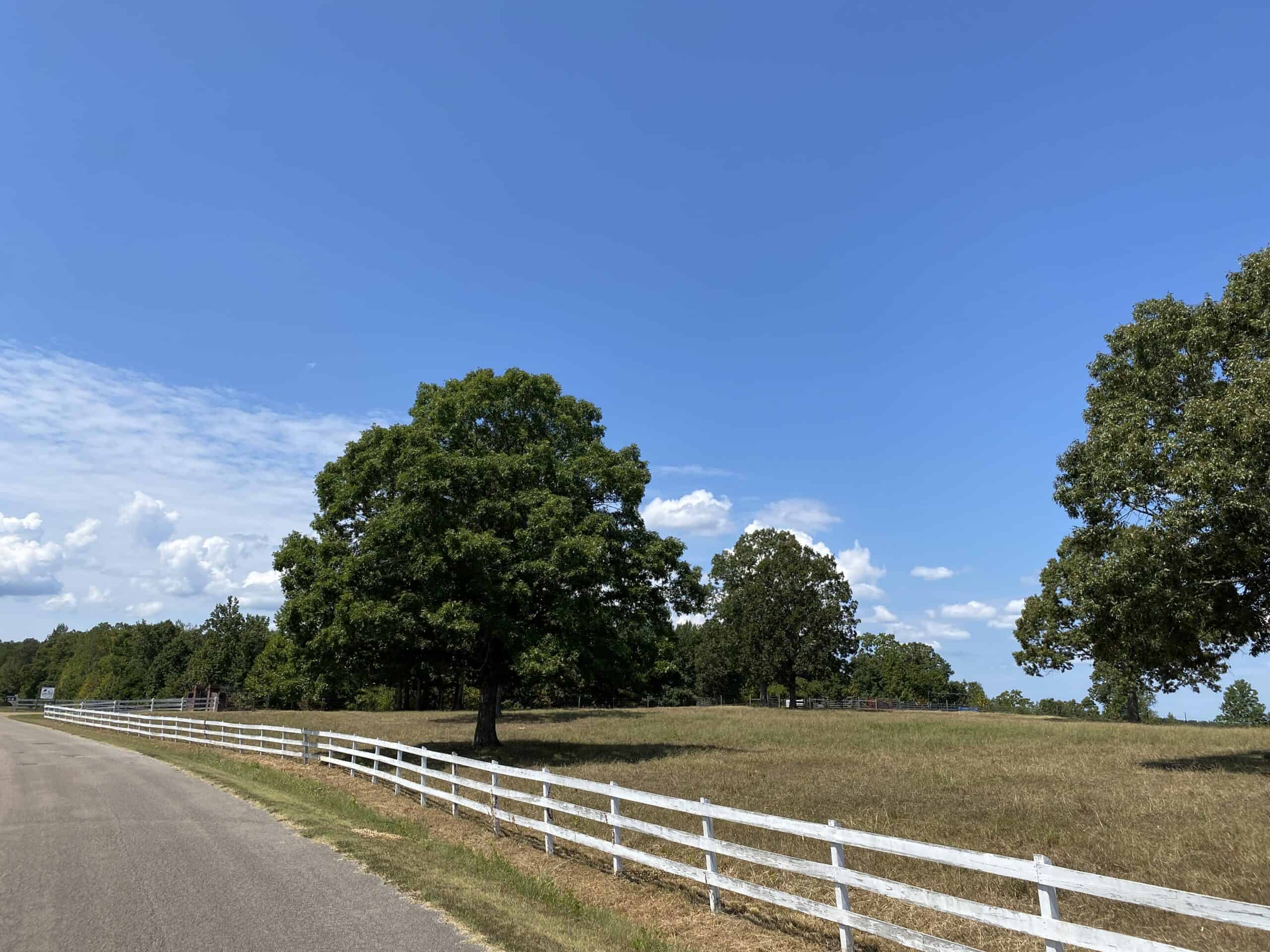 PRIVATE FARM FOR SALE IN TN NEAR TENNESSEE RIVER WITH POND, CREEK, FENCING, PASTURES, AND SHOP. GREAT DEER HUNTING.
