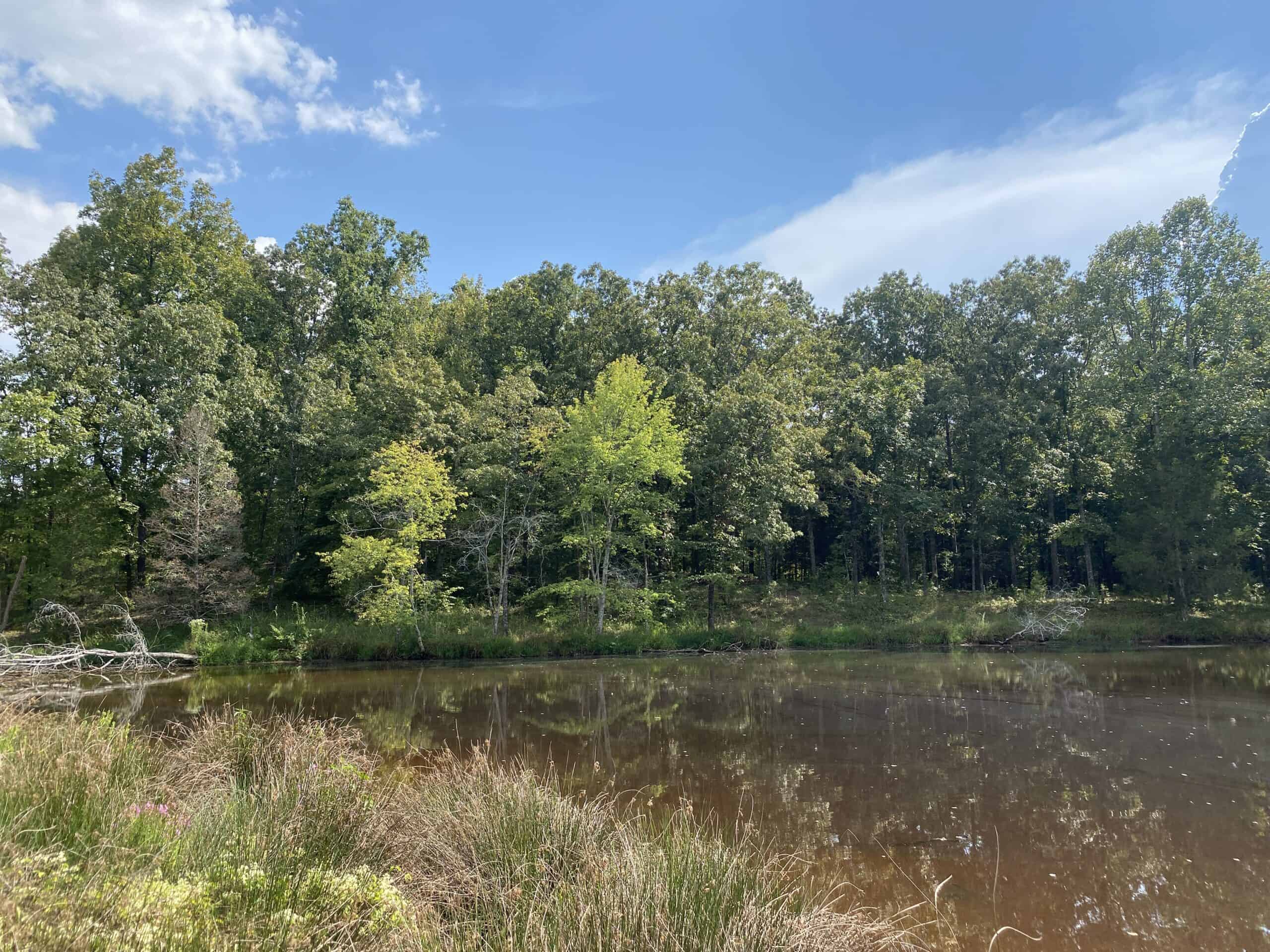 COUNTRY HOME FOR SALE IN TN, 68 AC+/-, SHEDS, POND, & CREEK