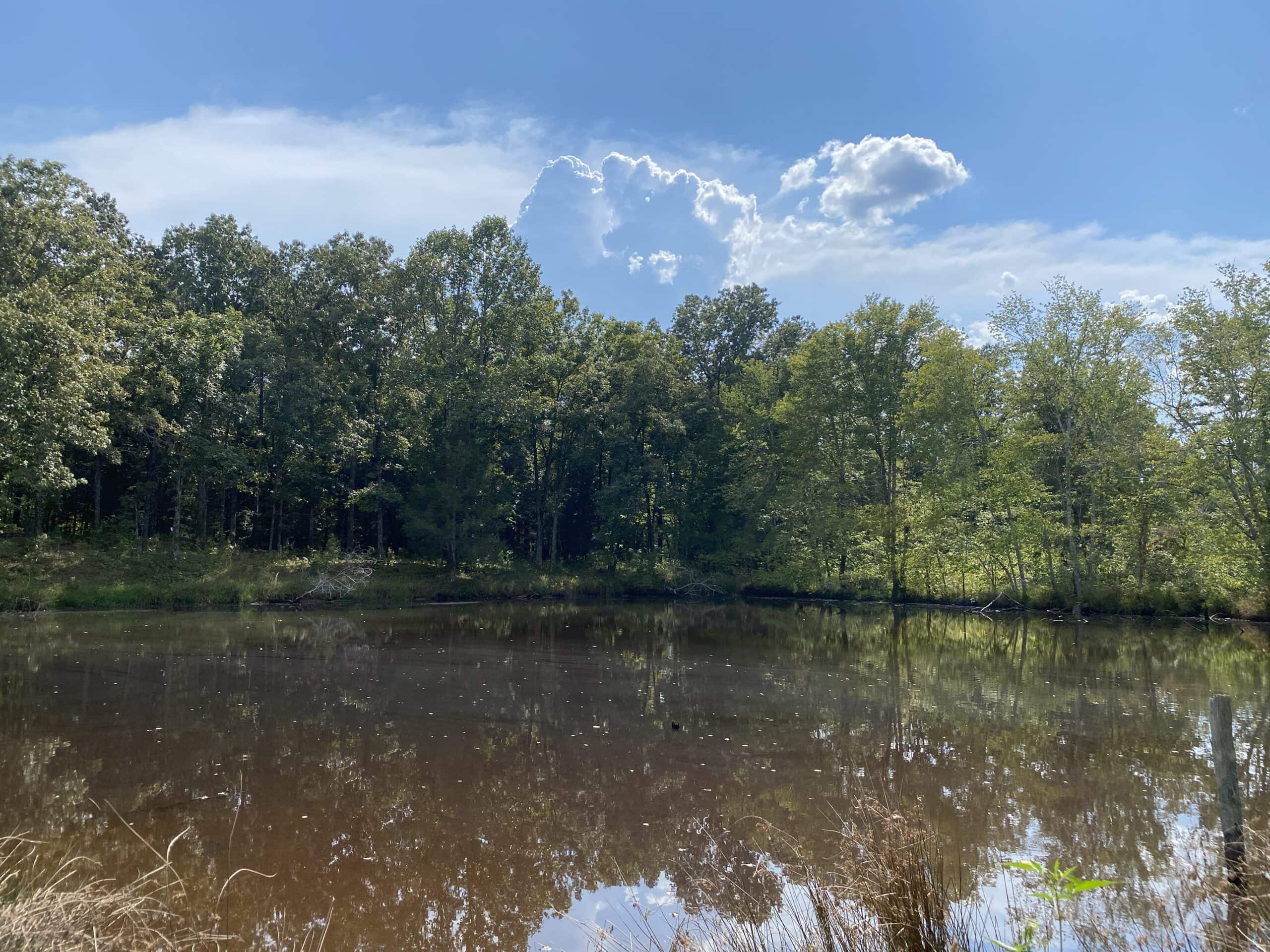 COUNTRY HOME FOR SALE IN TN, 68 AC+/-, SHEDS, POND, & CREEK