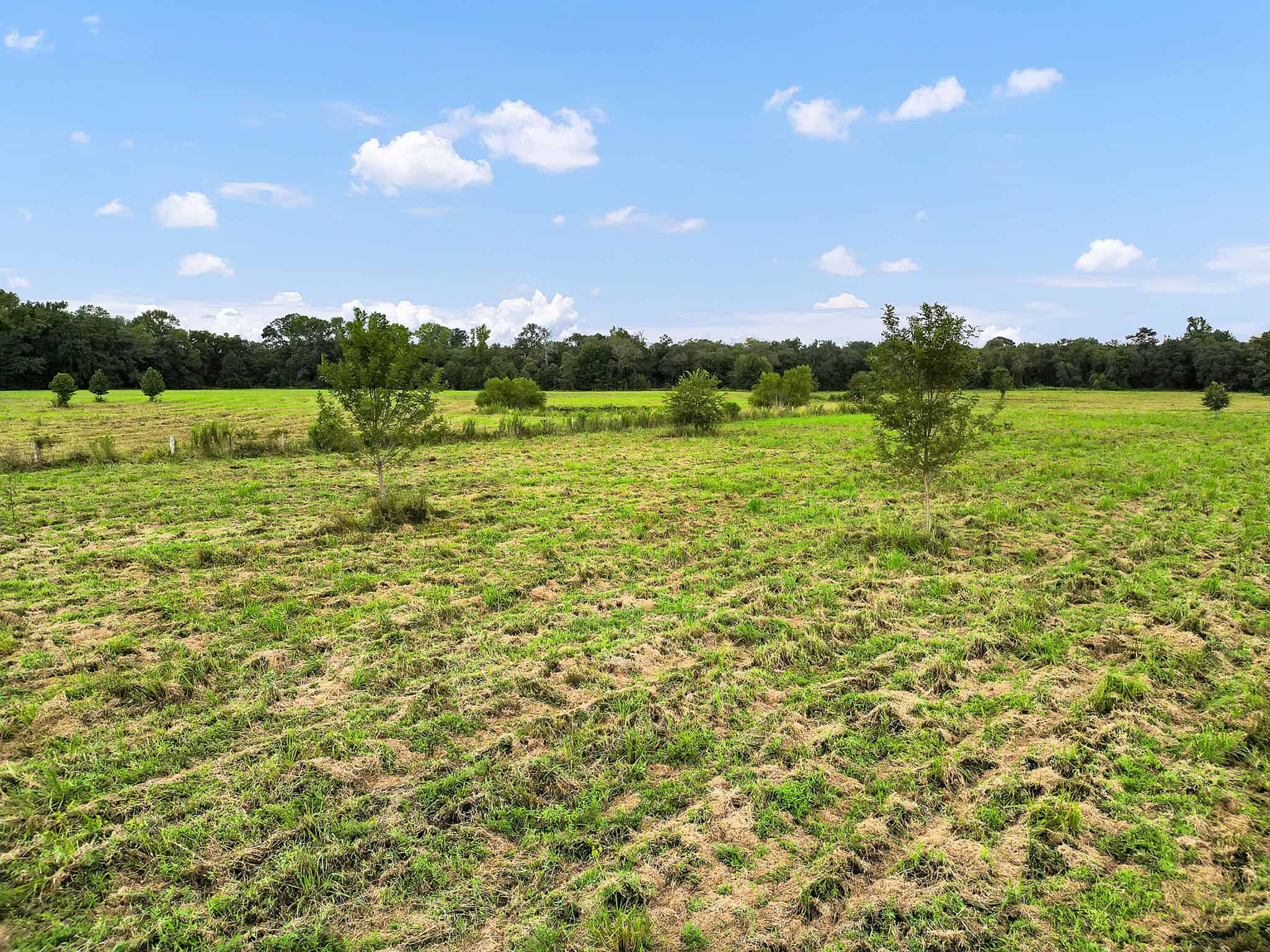 SOLD! Texas Neches Riverfront Hunting Property East of Dallas TX