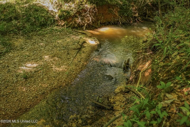 120 Acre Hunter’s Paradise in South MS for Sale