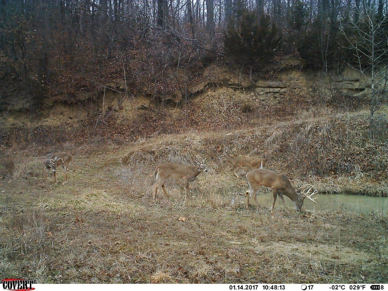 Missouri River Views – 44.56 Acres