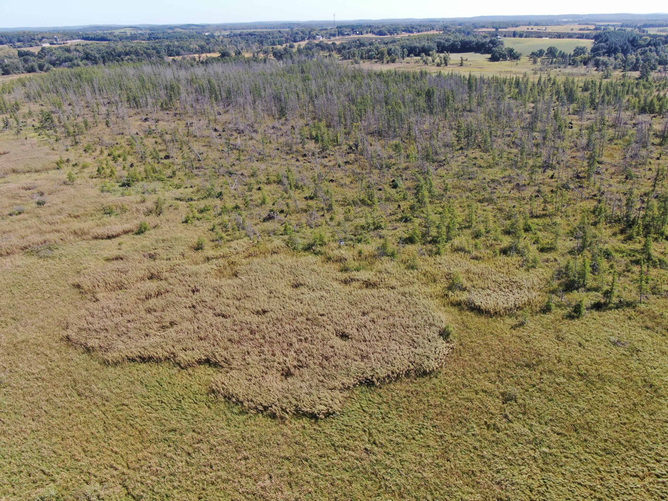 Marquette County 94 Acres of Hunting and Tillable land for sale UC