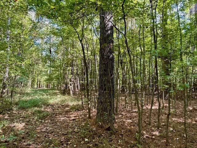 25 Acres For Sale Starkville MS