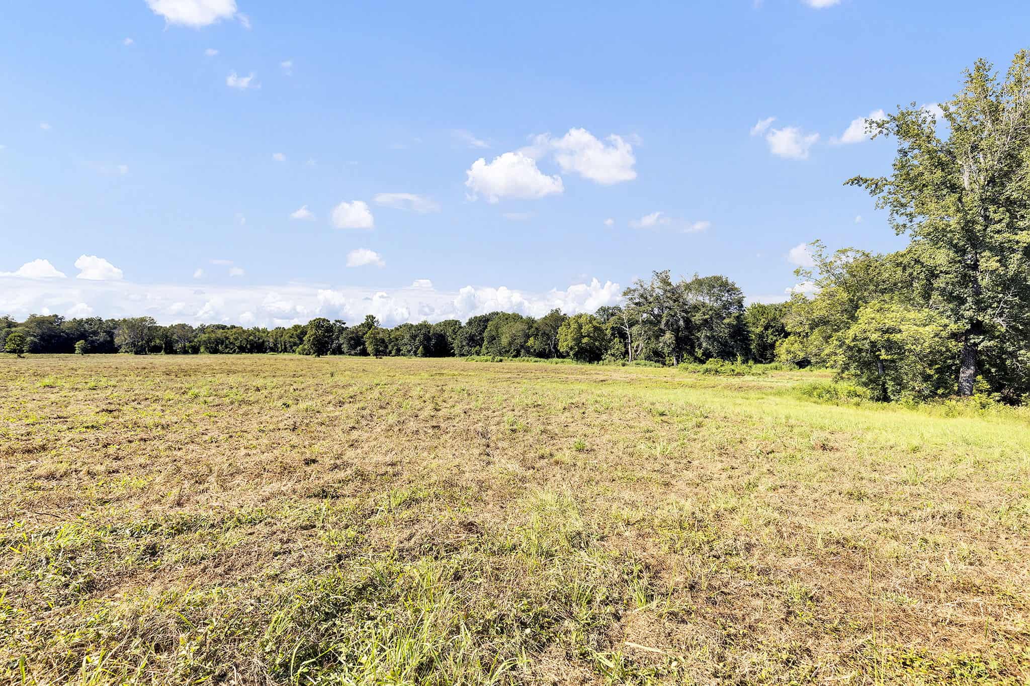 SOLD! Texas Neches Riverfront Hunting Property East of Dallas TX