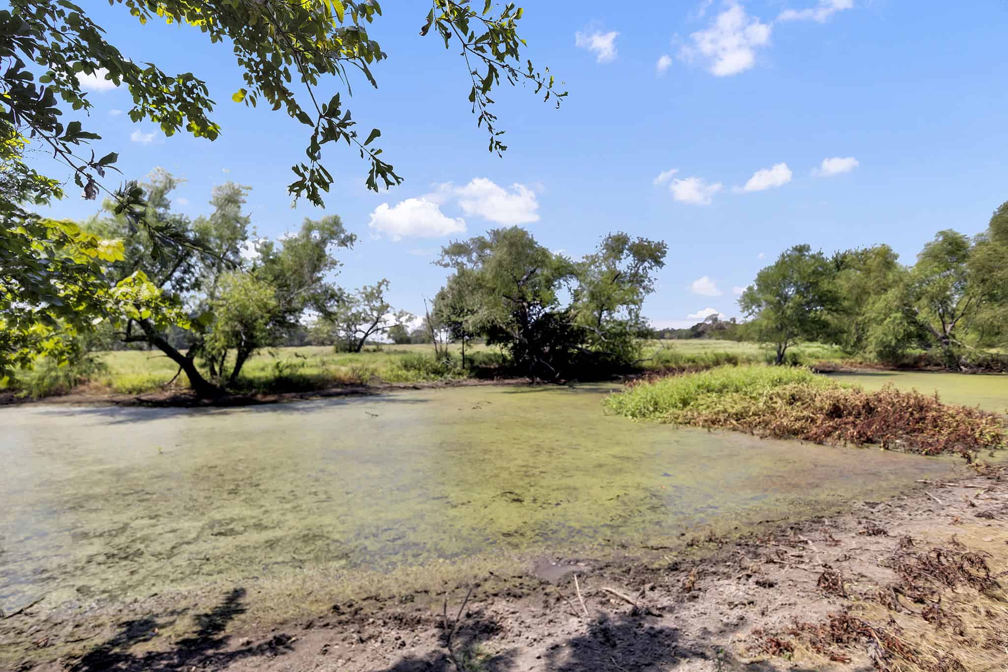 Kaufman Texas Recreational Ranch with Barndo | Hunt Ranch Fish