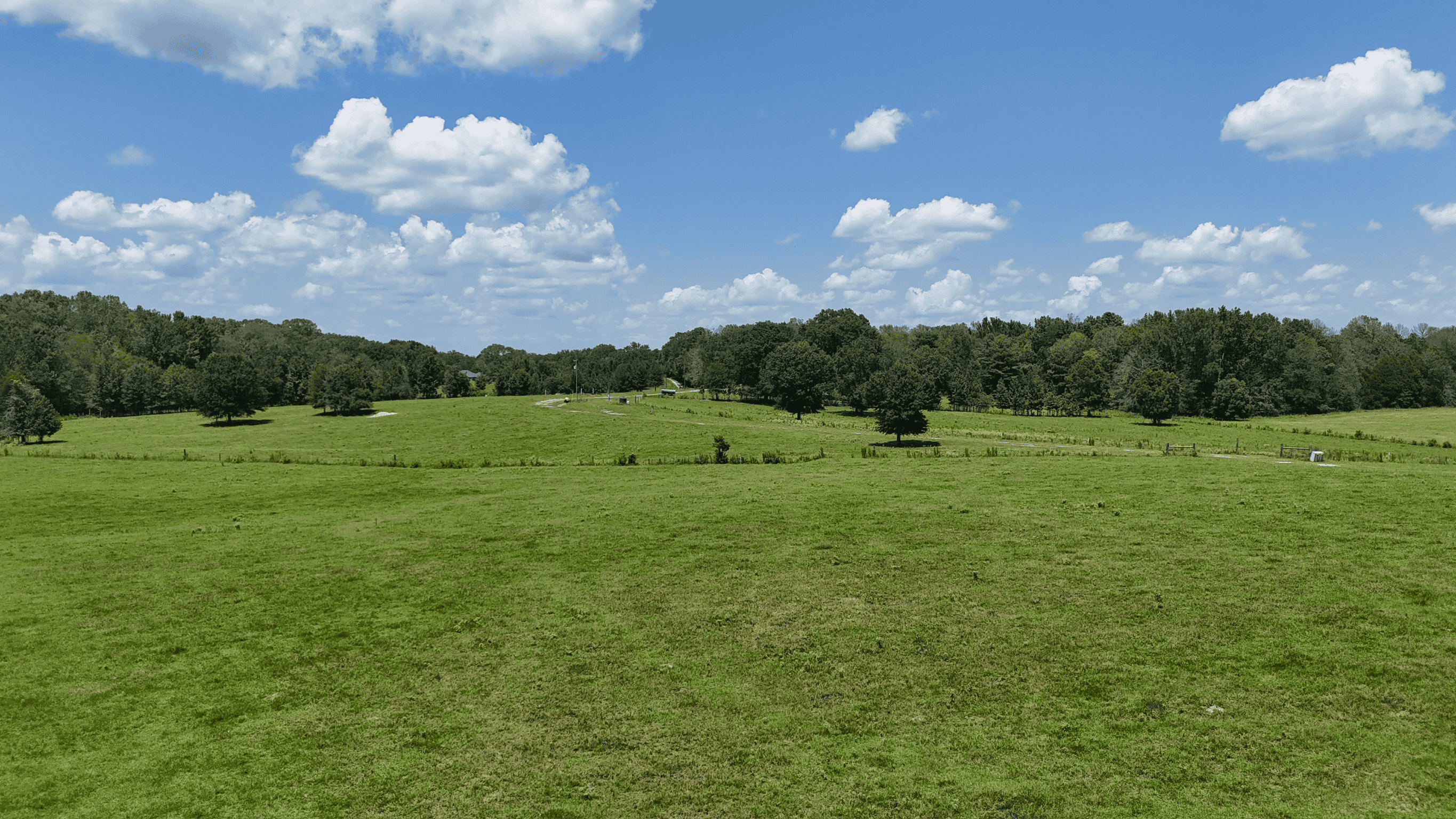 194 Acre Hunting, Homesite, and Pastureland for Sale