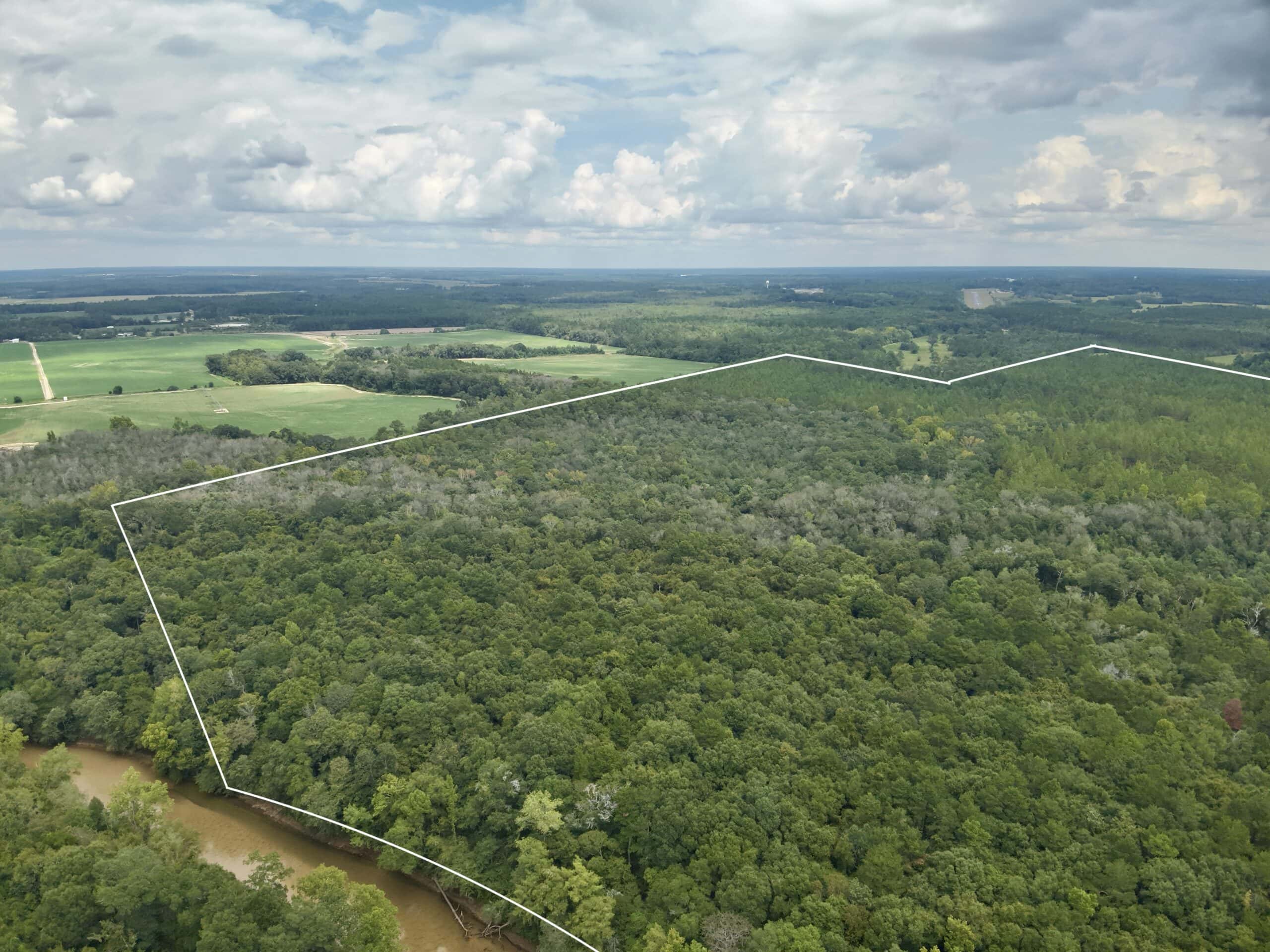 Prime Riverfront Hunting & Recreational Land for Sale in Samson Alabama!