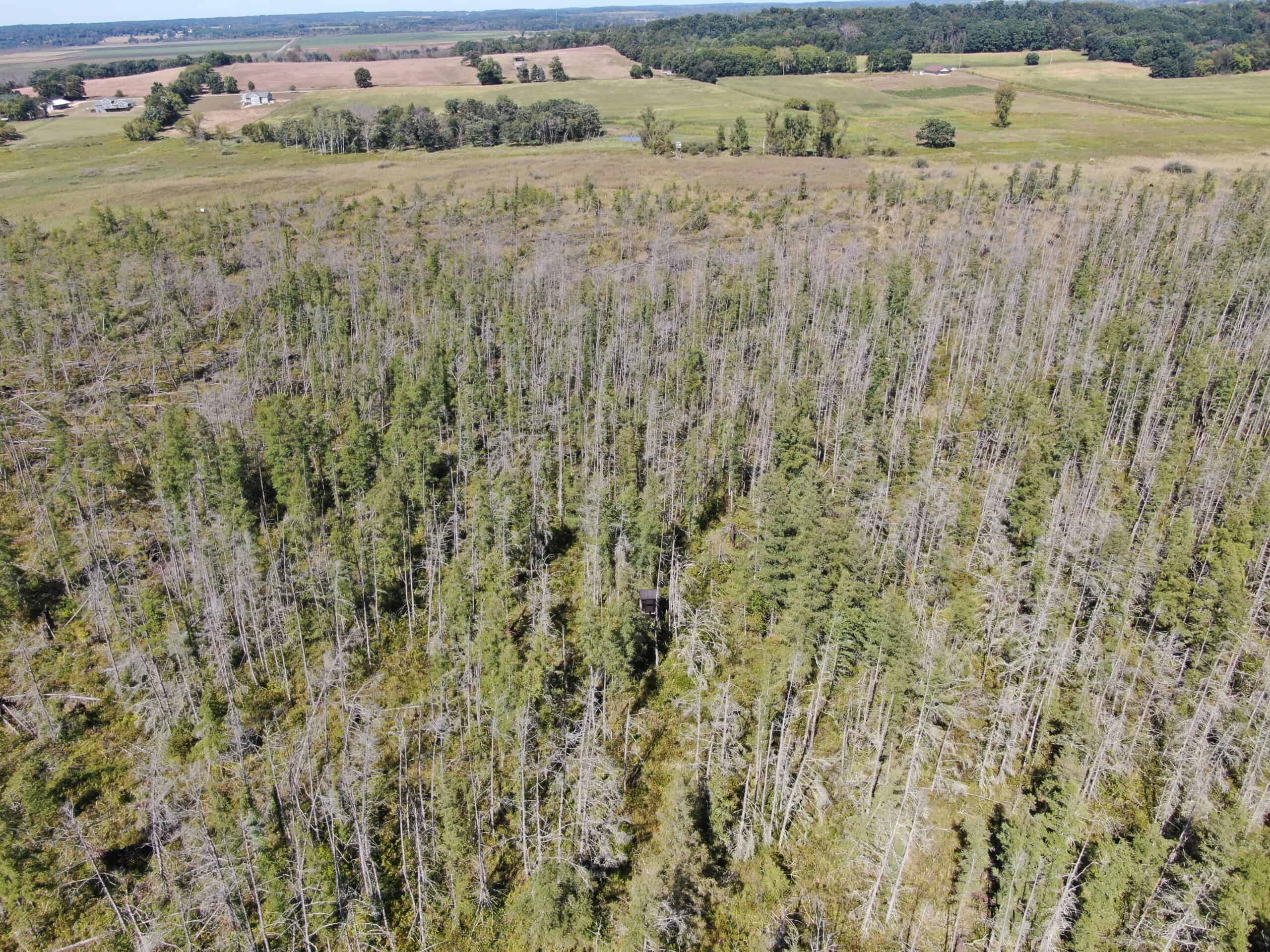 Marquette County 94 Acres of Hunting and Tillable land for sale UC Hunting Properties