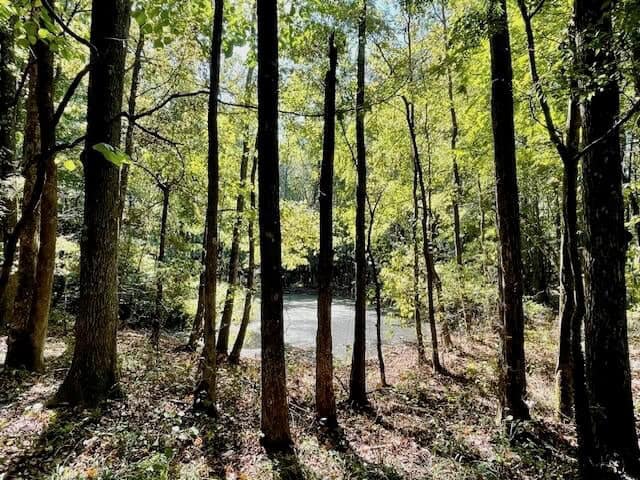 25 Acres For Sale Starkville MS