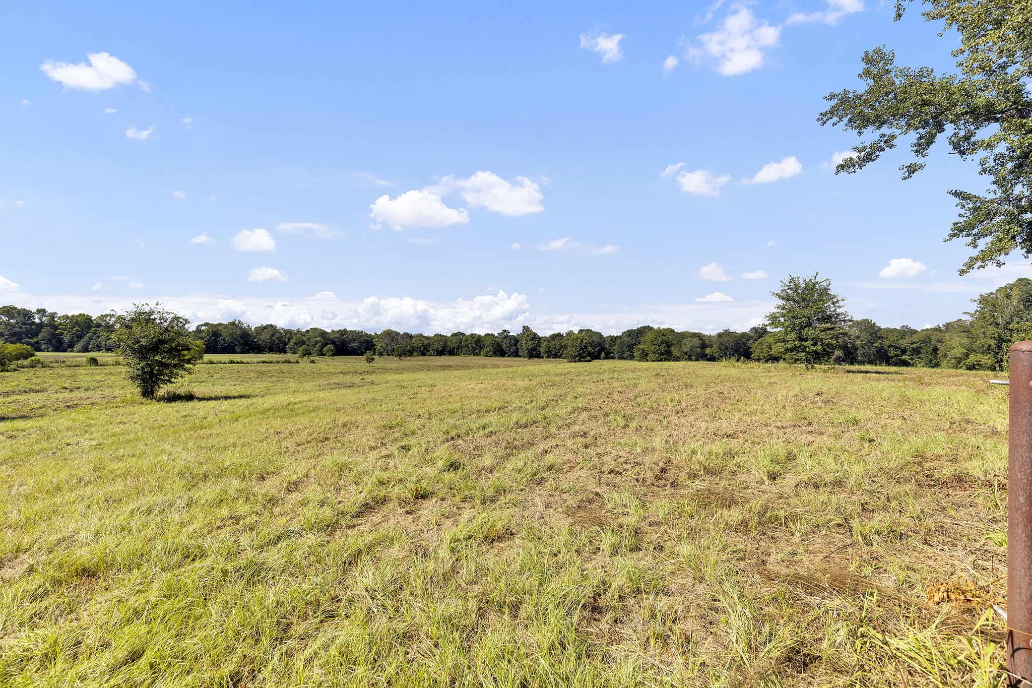 SOLD! Texas Neches Riverfront Hunting Property East of Dallas TX