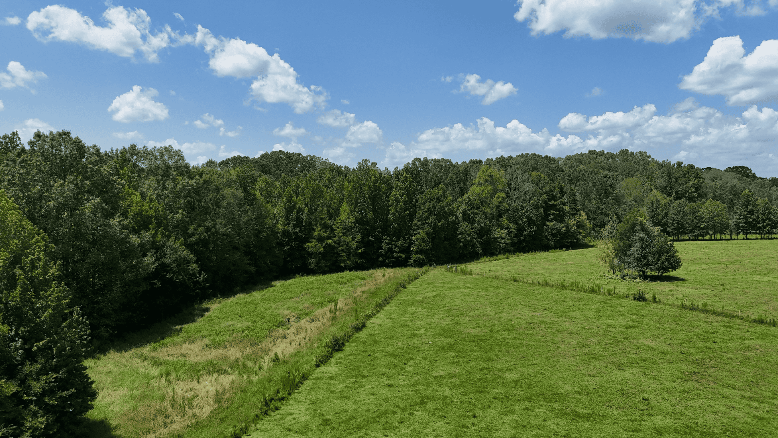 194 Acre Hunting, Homesite, and Pastureland for Sale
