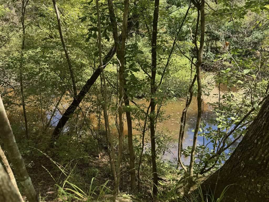 120 Acre Hunter’s Paradise in South MS for Sale