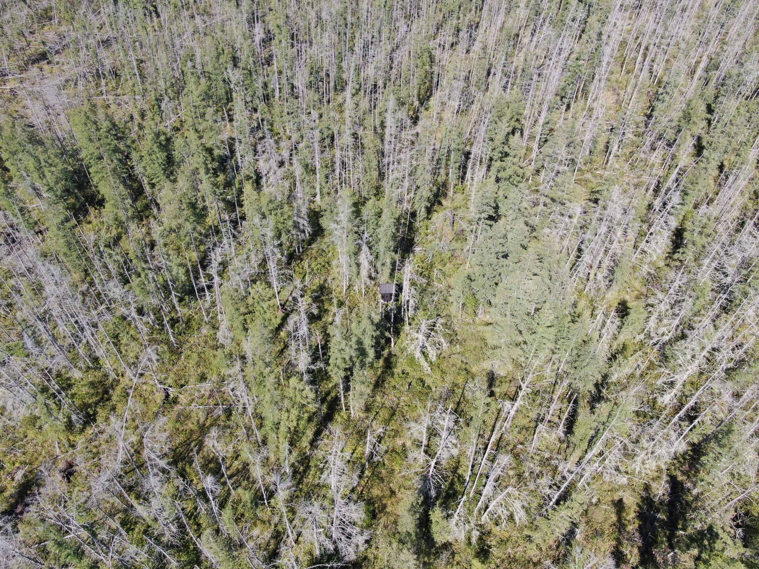 Marquette County 94 Acres of Hunting and Tillable land for sale UC