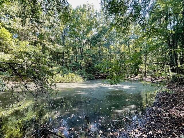 25 Acres For Sale Starkville MS