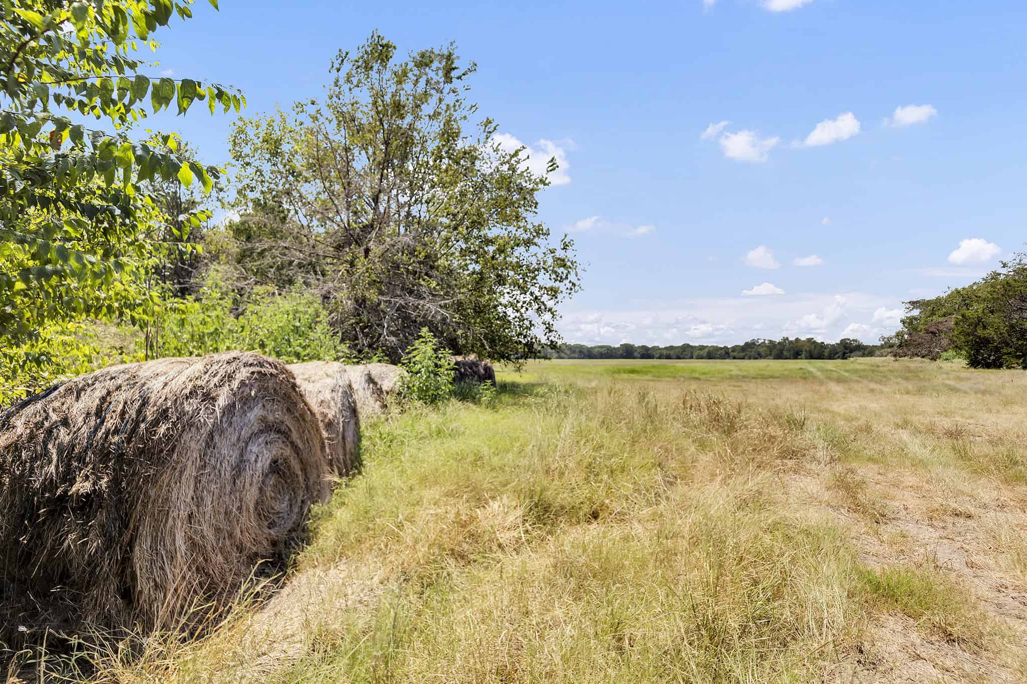 Kaufman Texas Recreational Ranch with Barndo | Hunt Ranch Fish