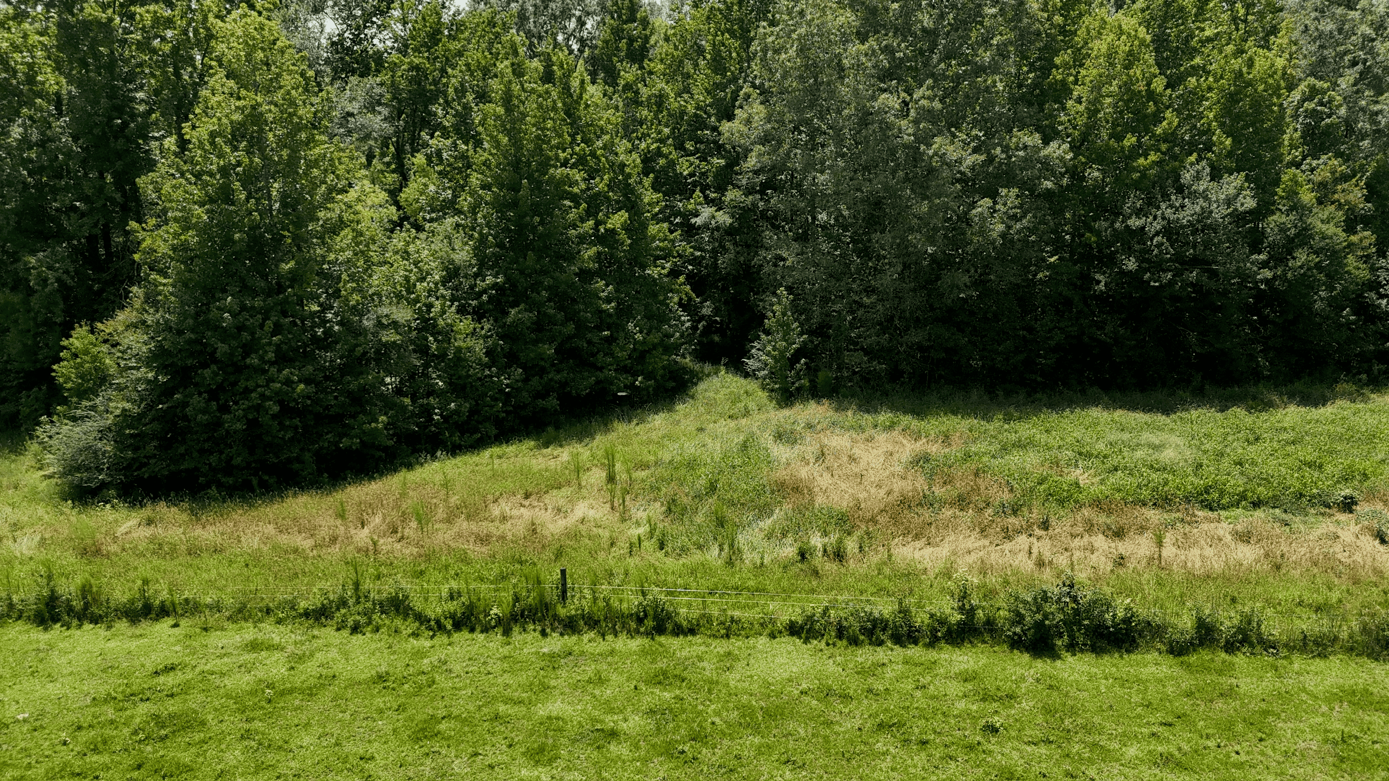 194 Acre Hunting, Homesite, and Pastureland for Sale