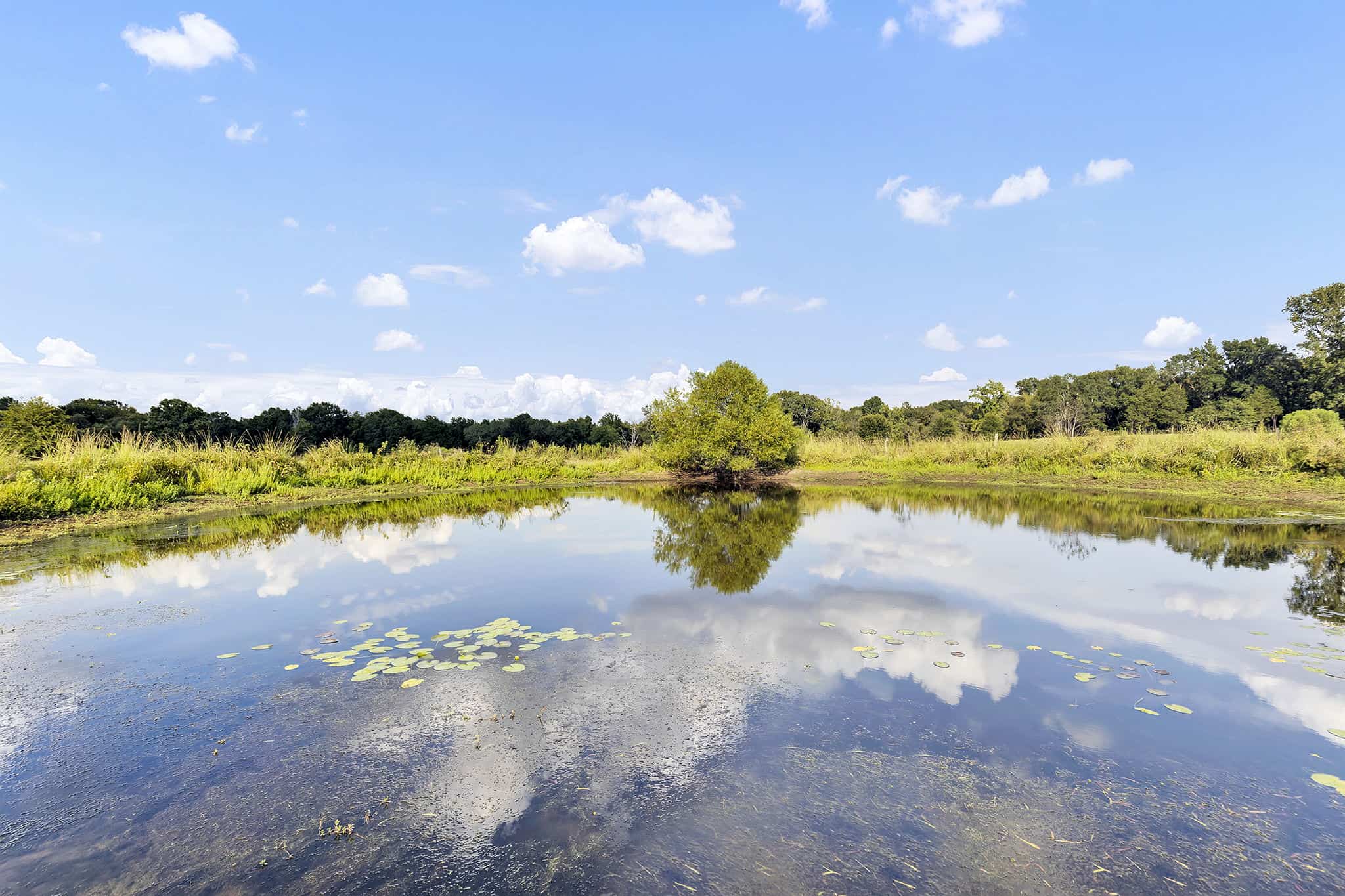 SOLD! Texas Neches Riverfront Hunting Property East of Dallas TX