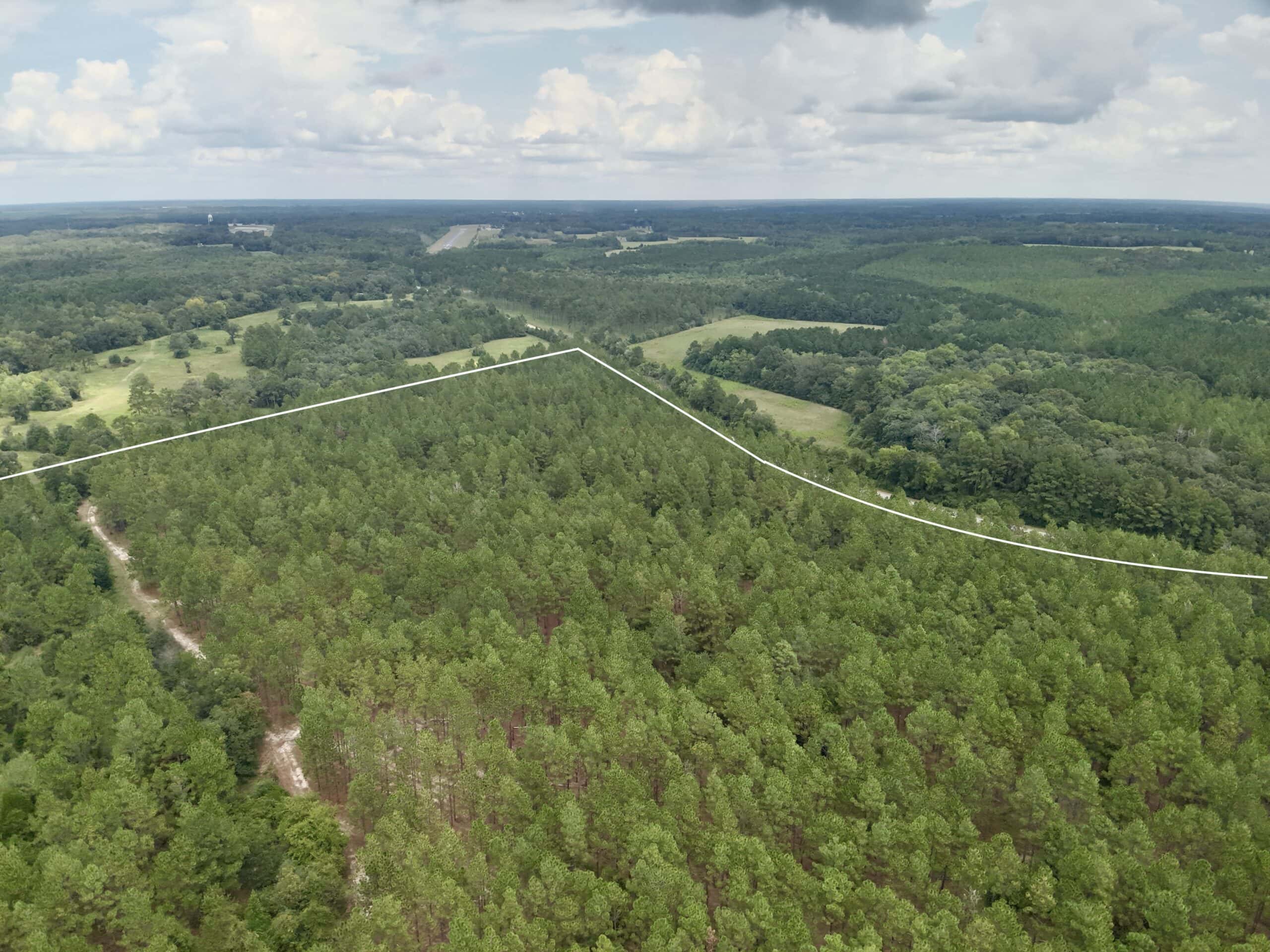 Prime Riverfront Hunting & Recreational Land for Sale in Samson Alabama!