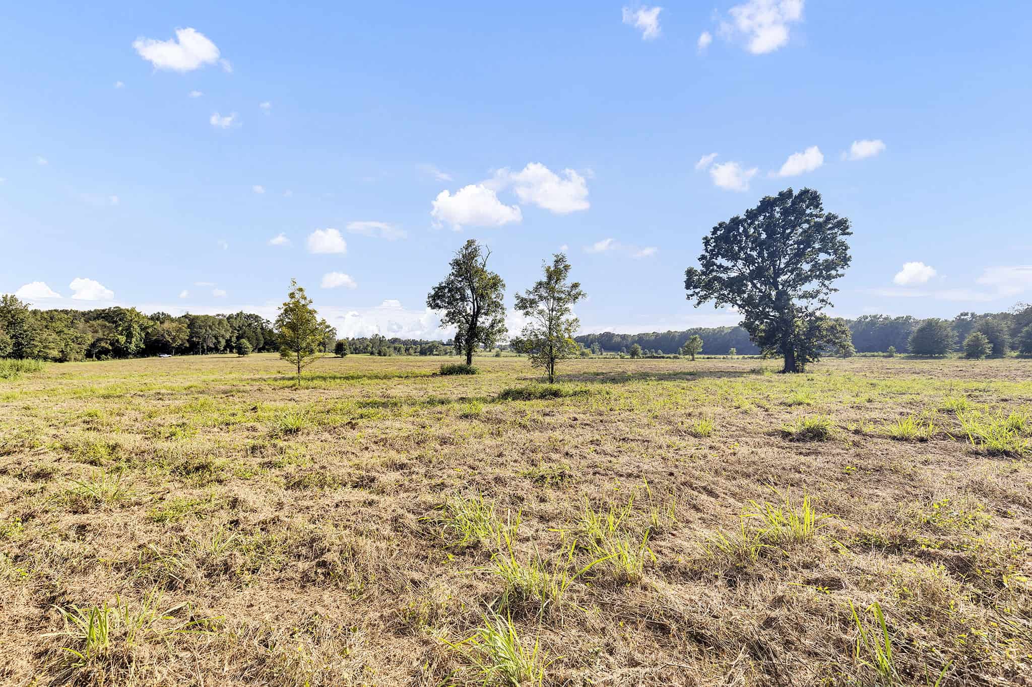 SOLD! Texas Neches Riverfront Hunting Property East of Dallas TX