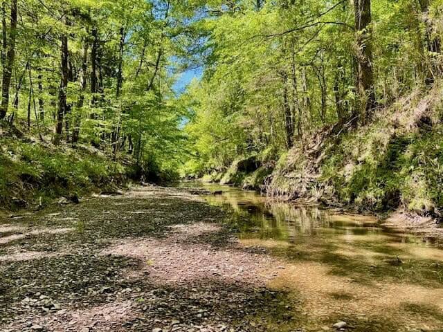109 Acres For Sale Starkville MS
