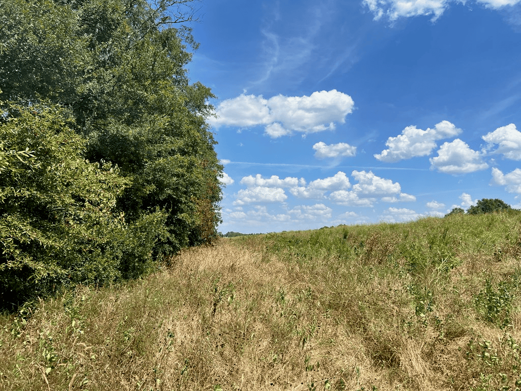 Hunting Land for Sale in Yazoo County, MS