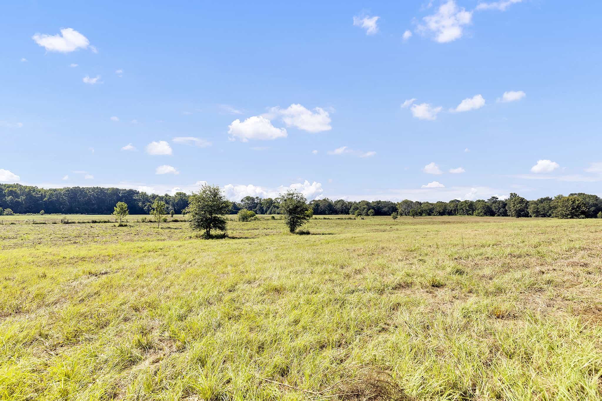SOLD! Texas Neches Riverfront Hunting Property East of Dallas TX