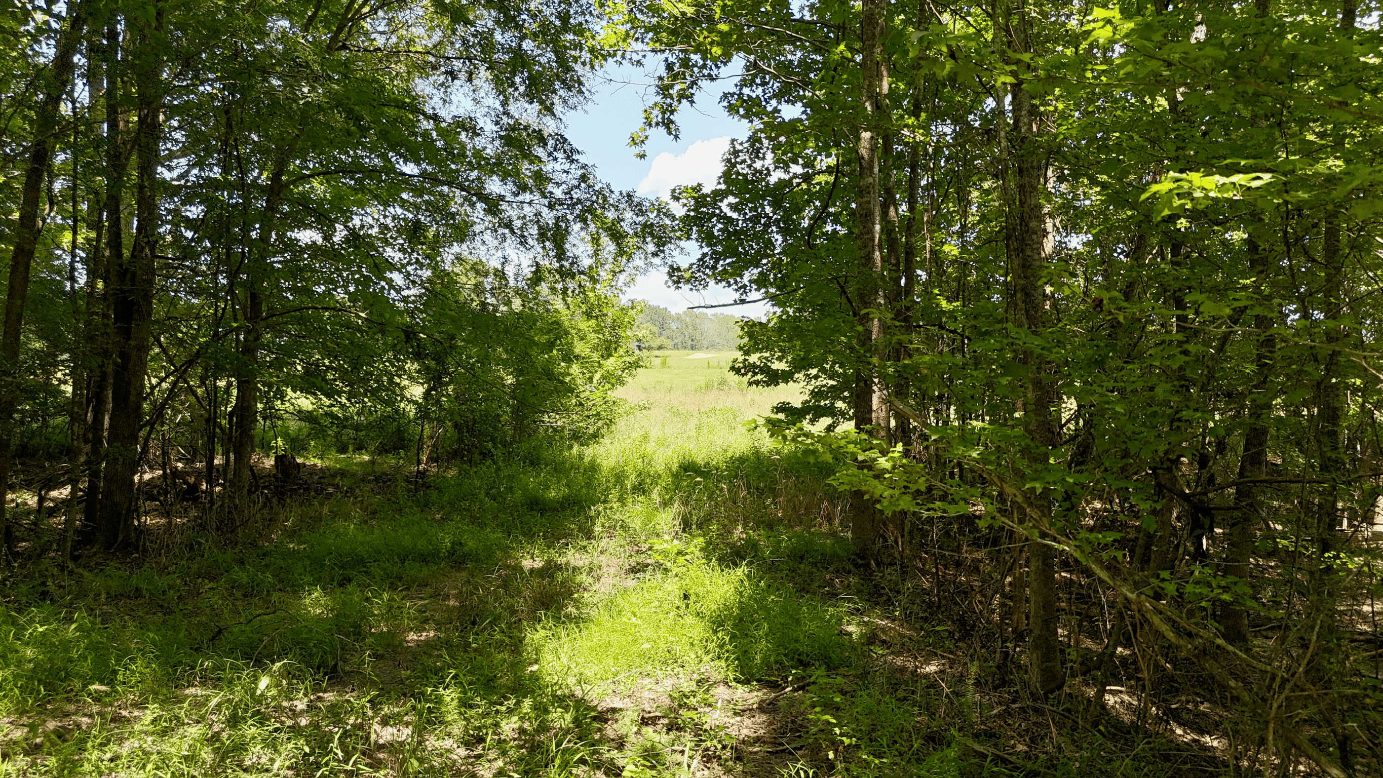 194 Acre Hunting, Homesite, and Pastureland for Sale